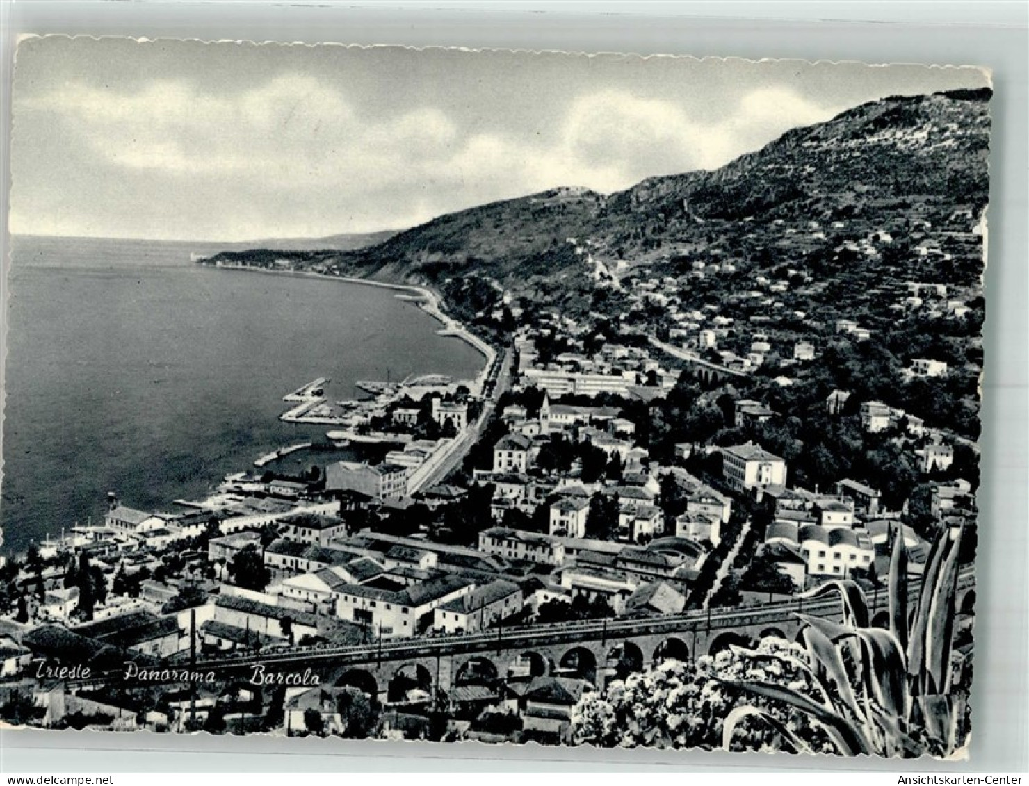 38243438 - Trieste / Triest / Trst