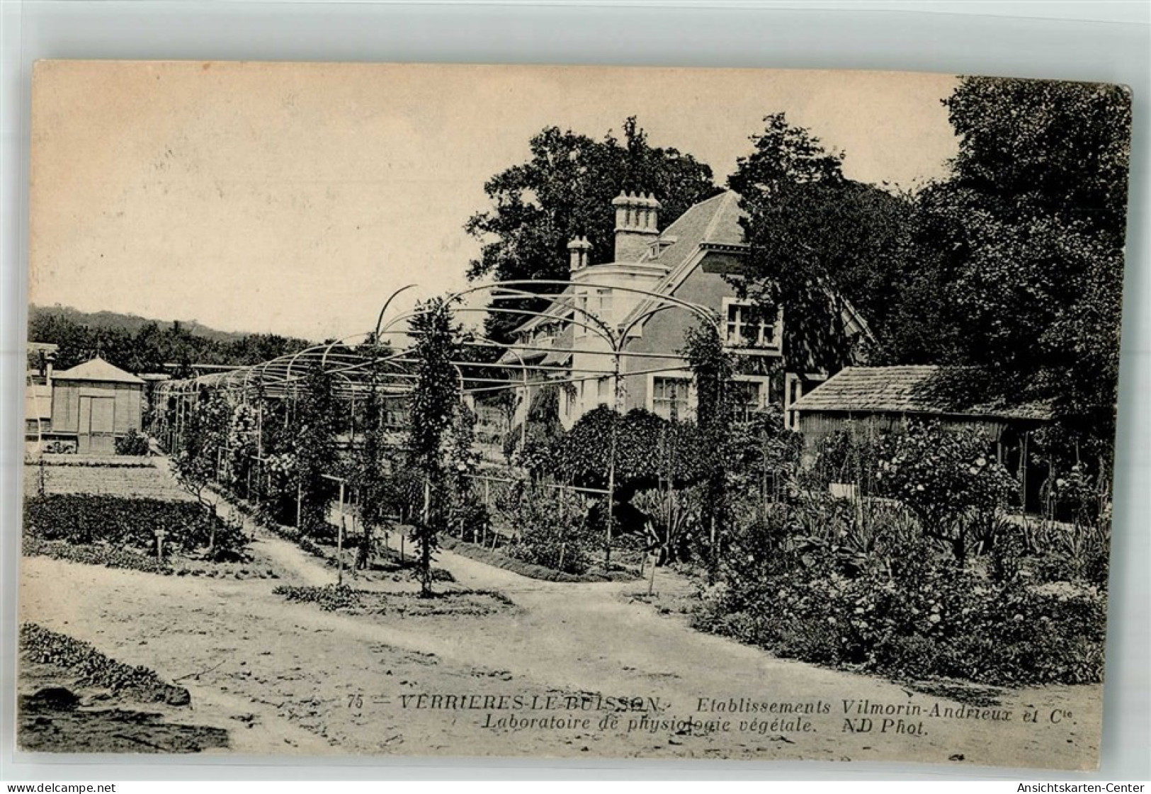 38246656 - Verrieres-le-Buisson