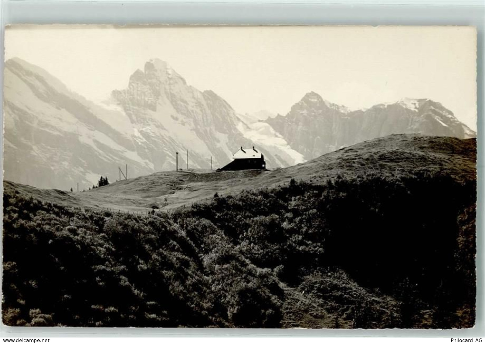 3825 Mürren - 10312289
