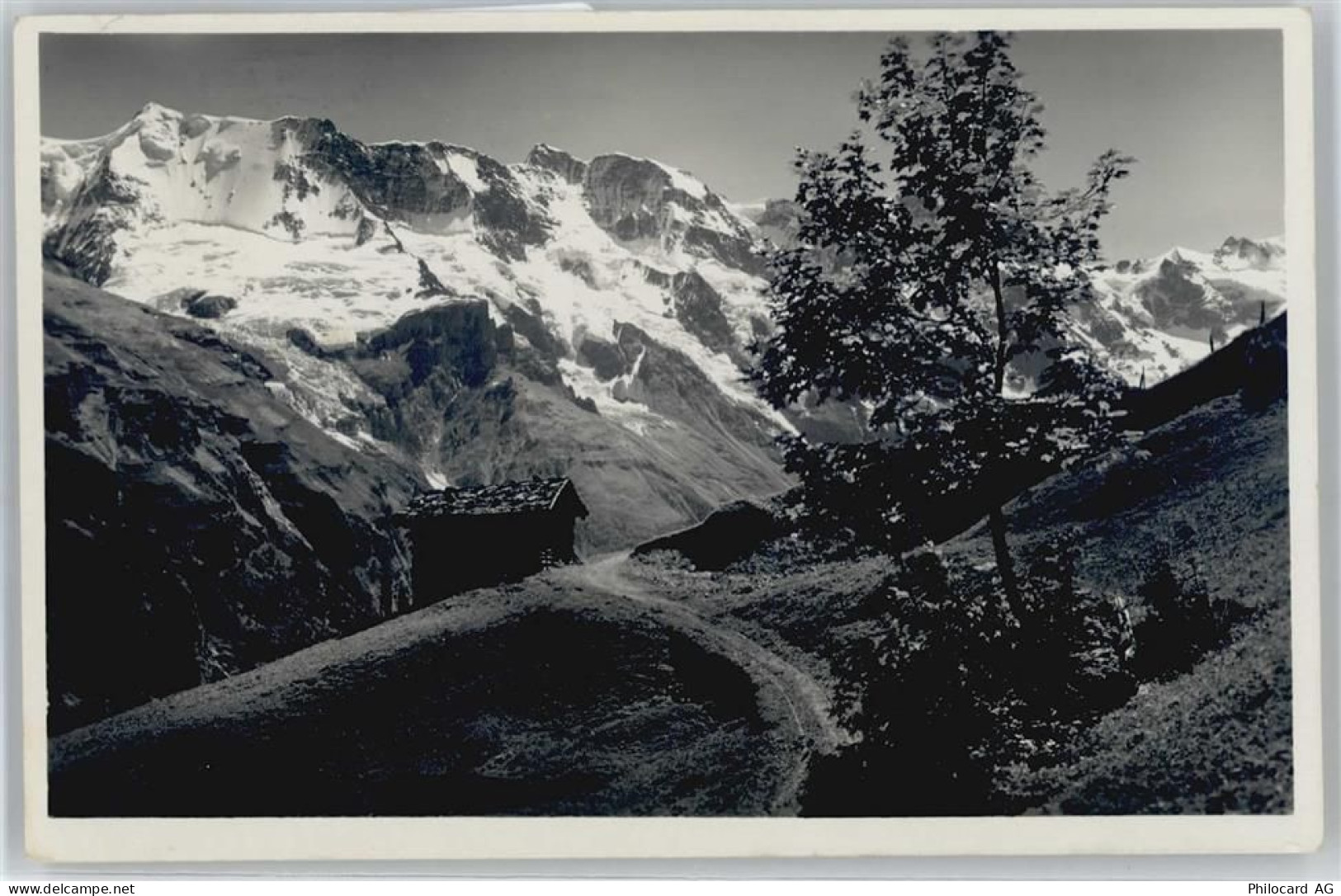 3825 Mürren - AKU2 - 50672695