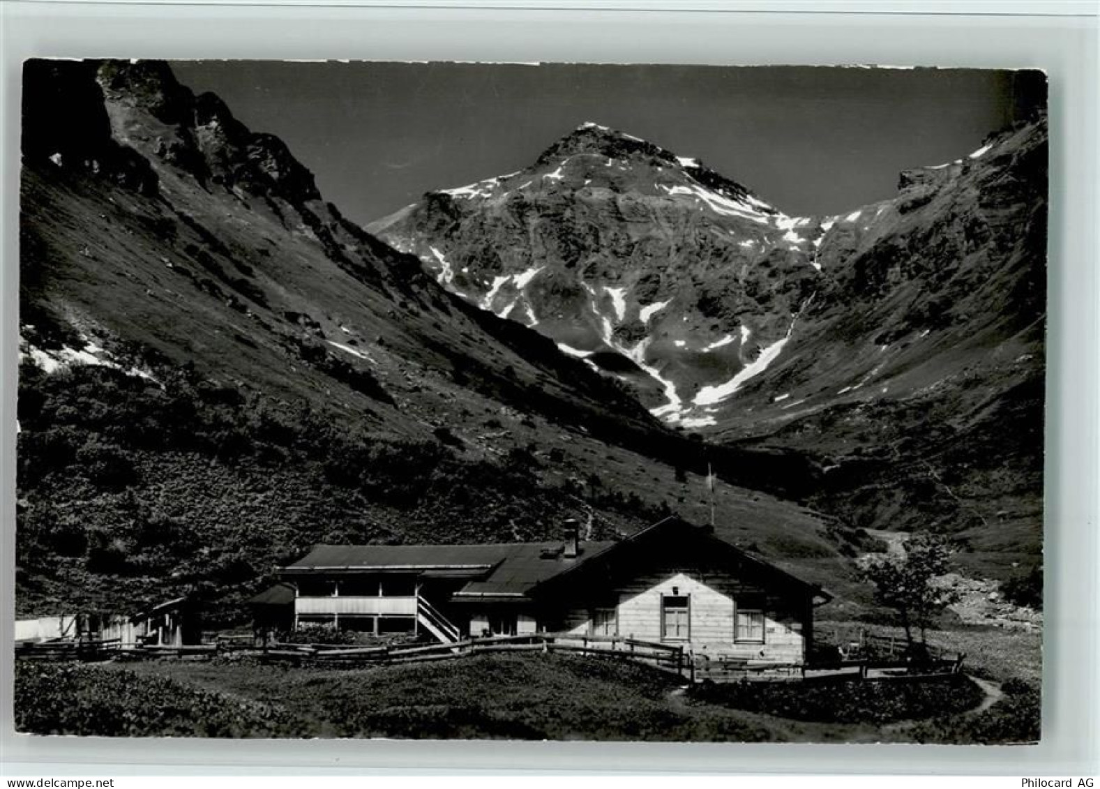3825 Mürren - Alp Spielboden bei Mürren Schilthorn - 12113228