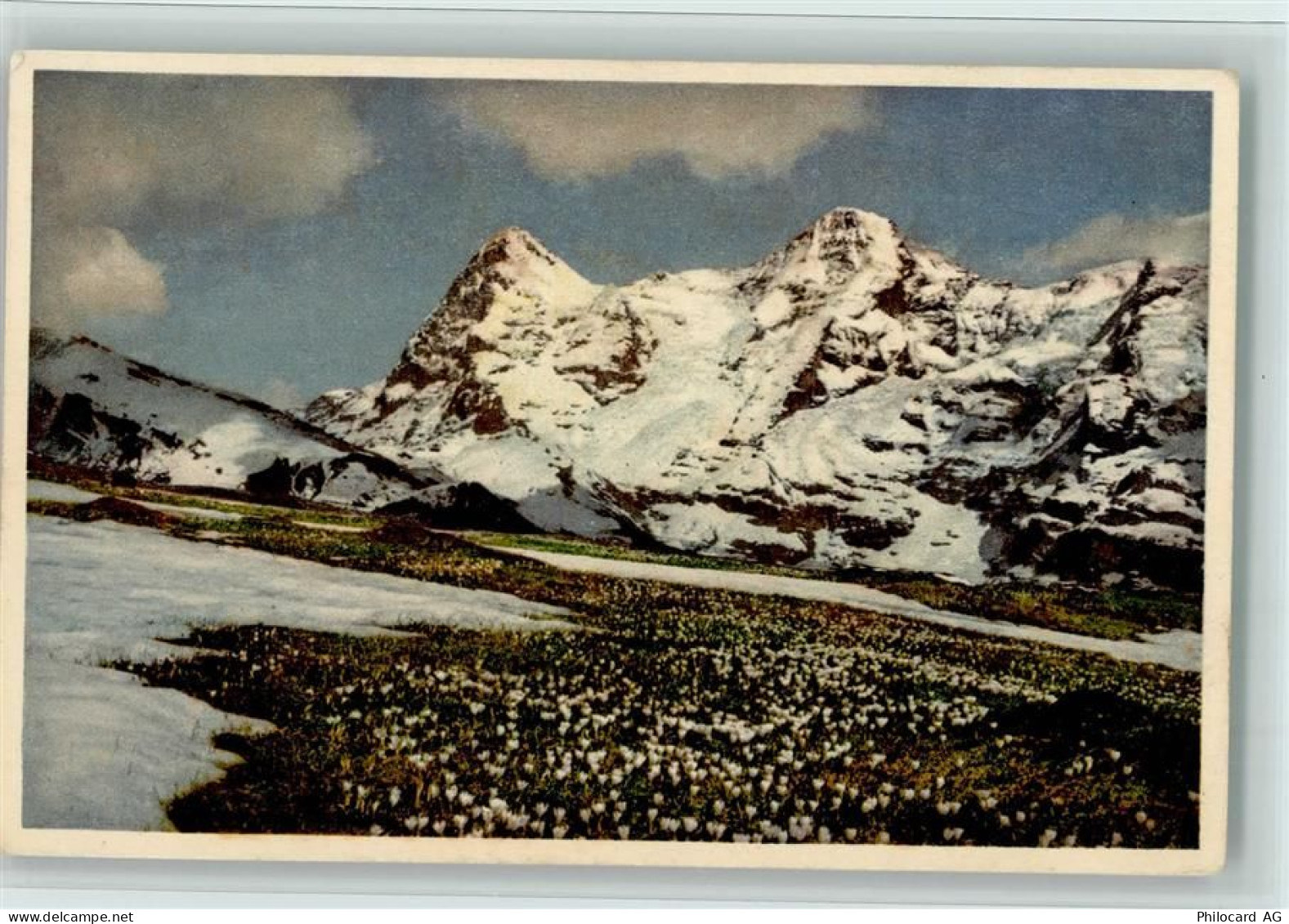 3825 Mürren - Bergfrühling bei Mürren Eiger Mönch - 12113226