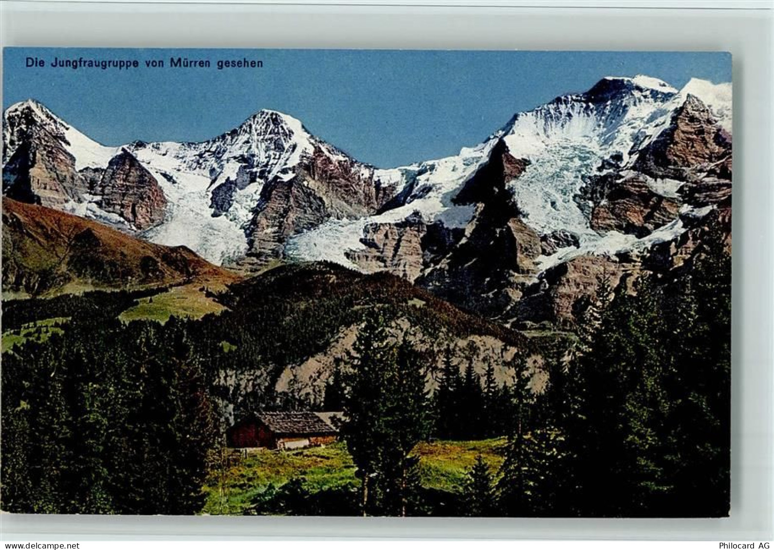 3825 Mürren - Jungfraugruppe von Mürren gesehen Bäume - 12113204