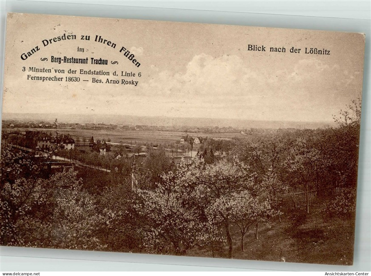 38260194 - Loessnitz