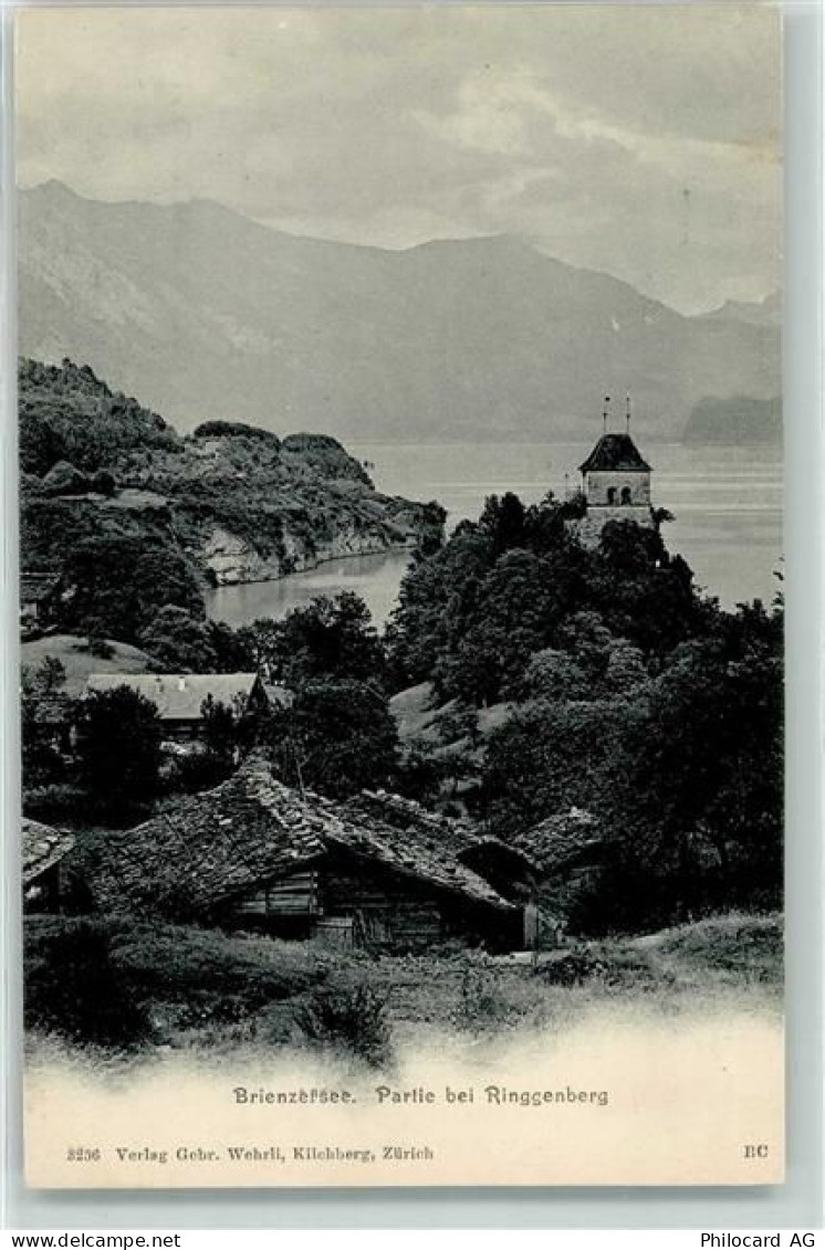 3852 Ringgenberg BE - Brienzersee - 10599269