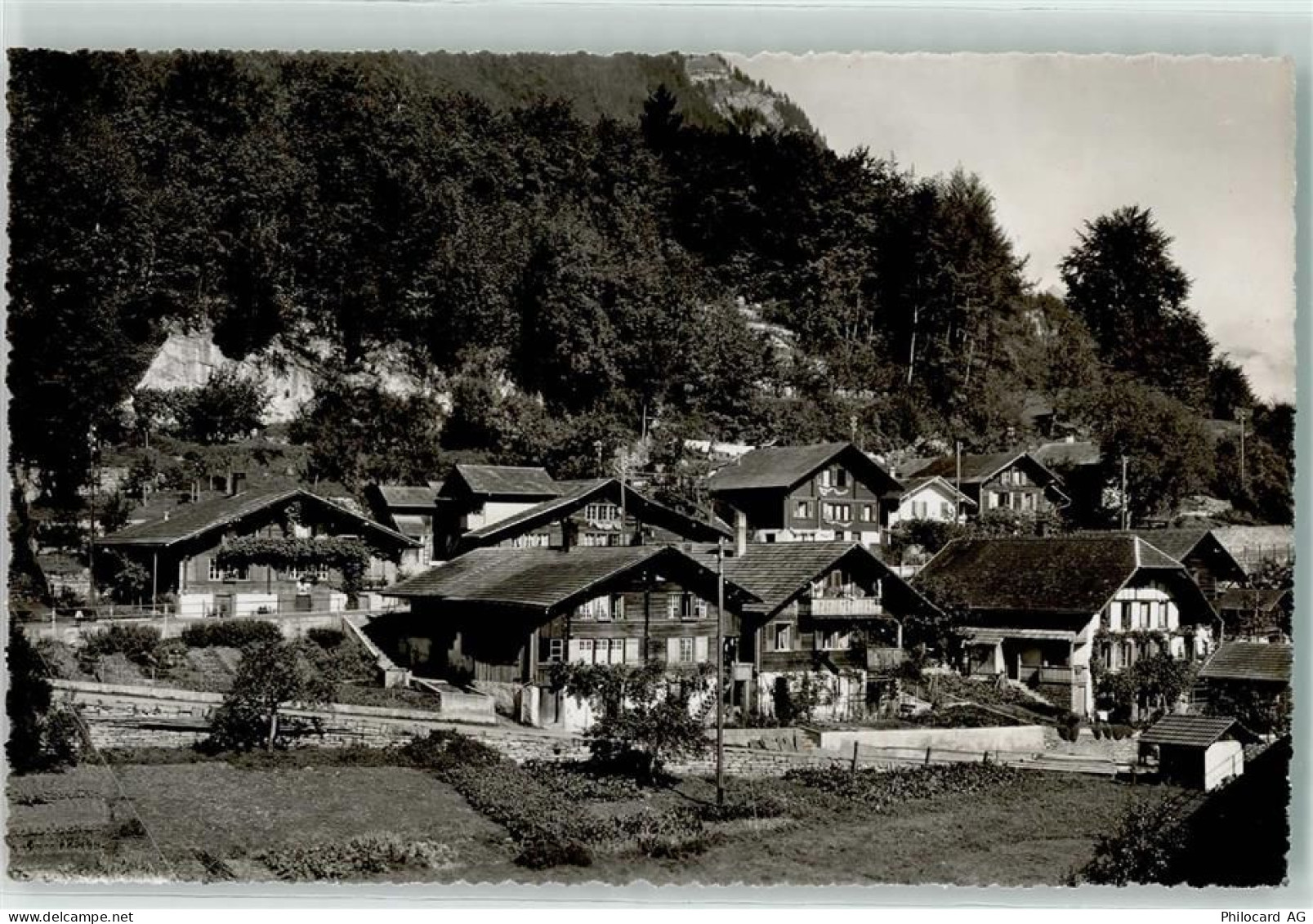 3852 Ringgenberg BE - Säge - 10607699