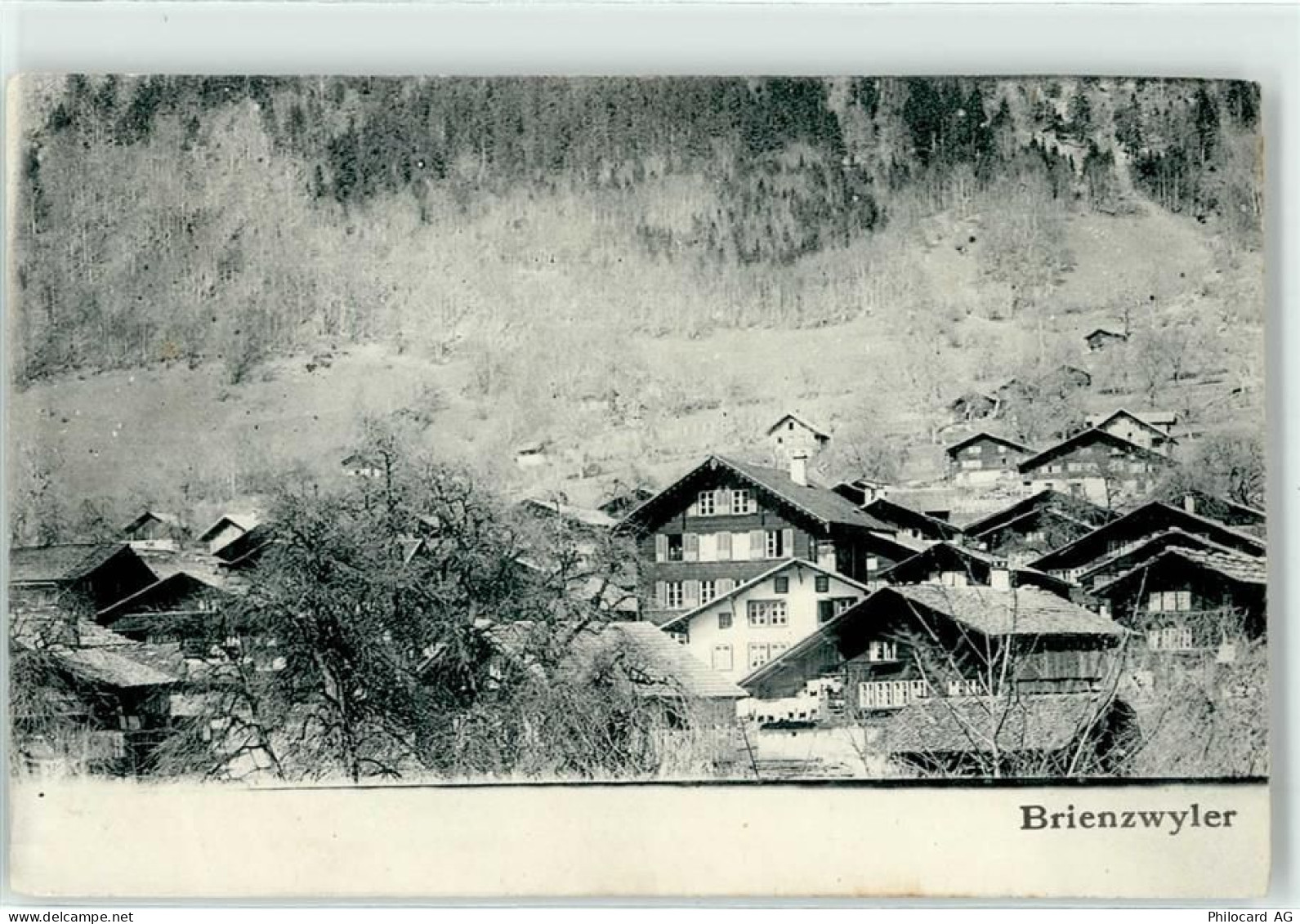 3856 Brienzwiler - 51713918