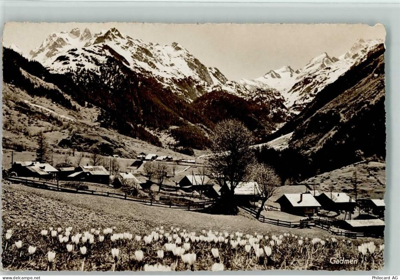 3863 Gadmen - 13113674