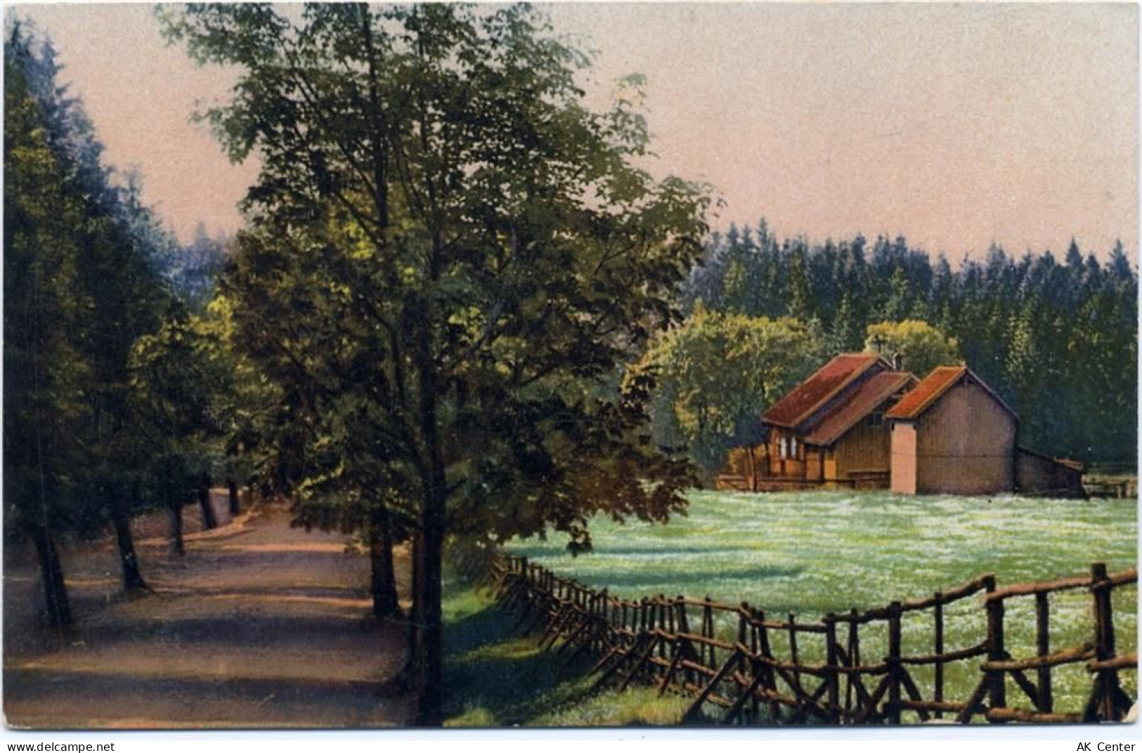 38700 W3389 Braunlage um 1920 - Braunlage, Harz, Forsthaus Brunnenbach, ... - 20035679
