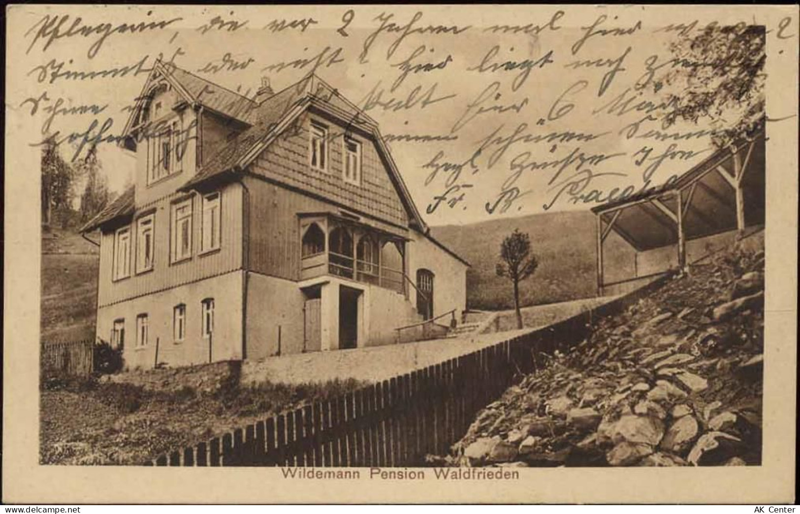 38709 W3391 Wildemann 1931 - Wildemann, Pension Waldfrieden - 20028265