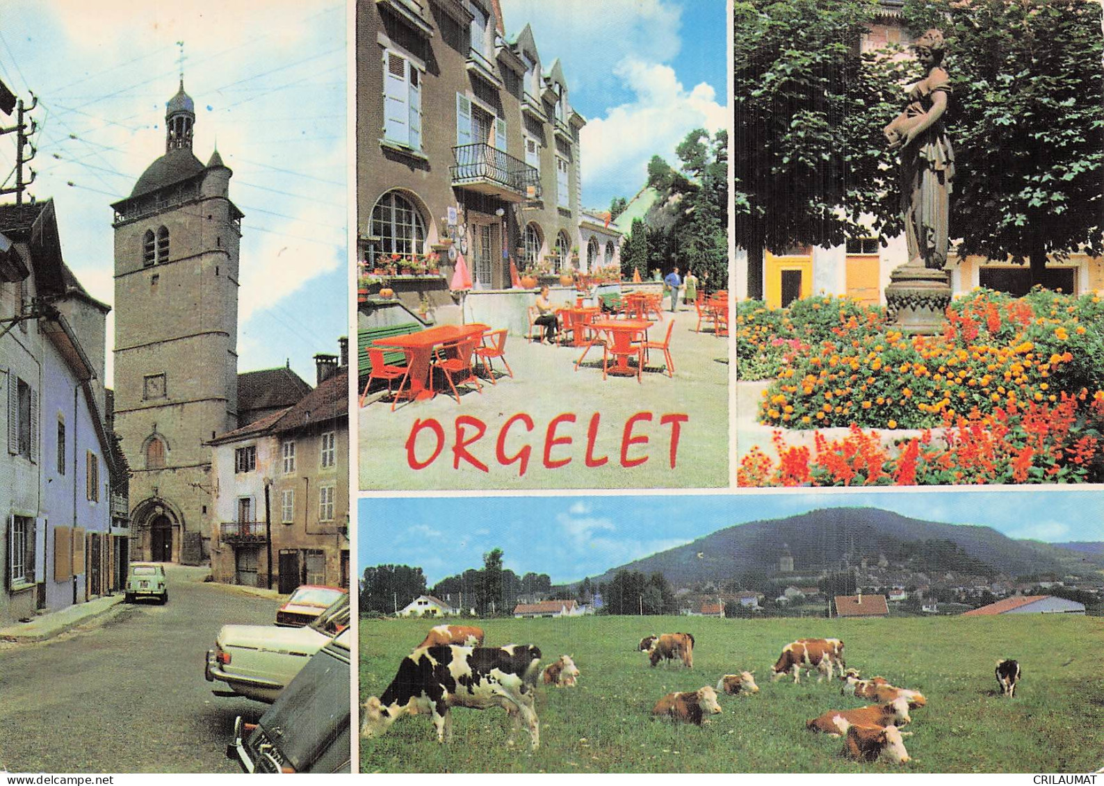 39 ORGELET ORGELET