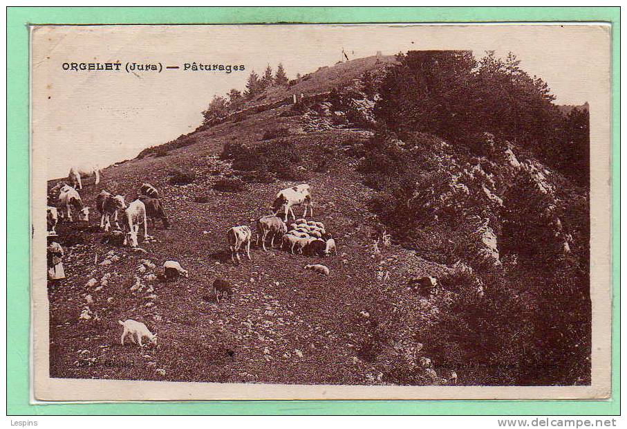 39 - ORGELET -- Paturage
