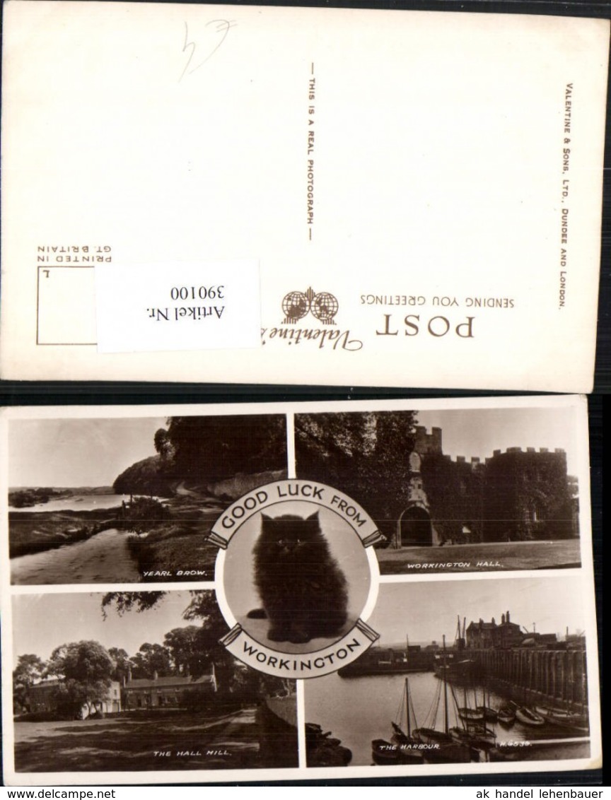 390100,Great Britain England Workington Hall Harbour Hall Mill Katze Mehrbildkarte