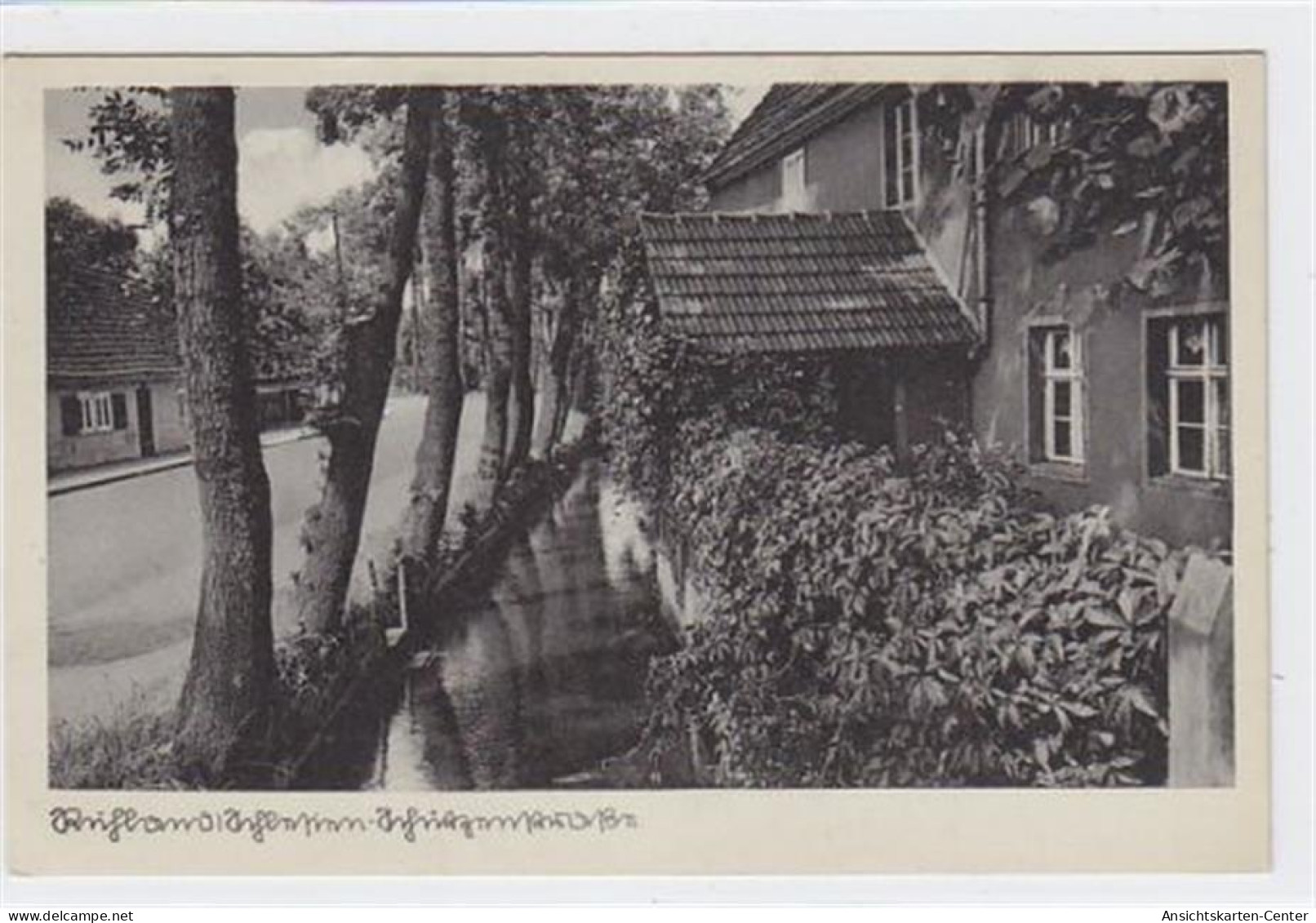 39016889 - Ruhland, Schuetzenstrasse, ungelaufen, sehr gut erhalten.