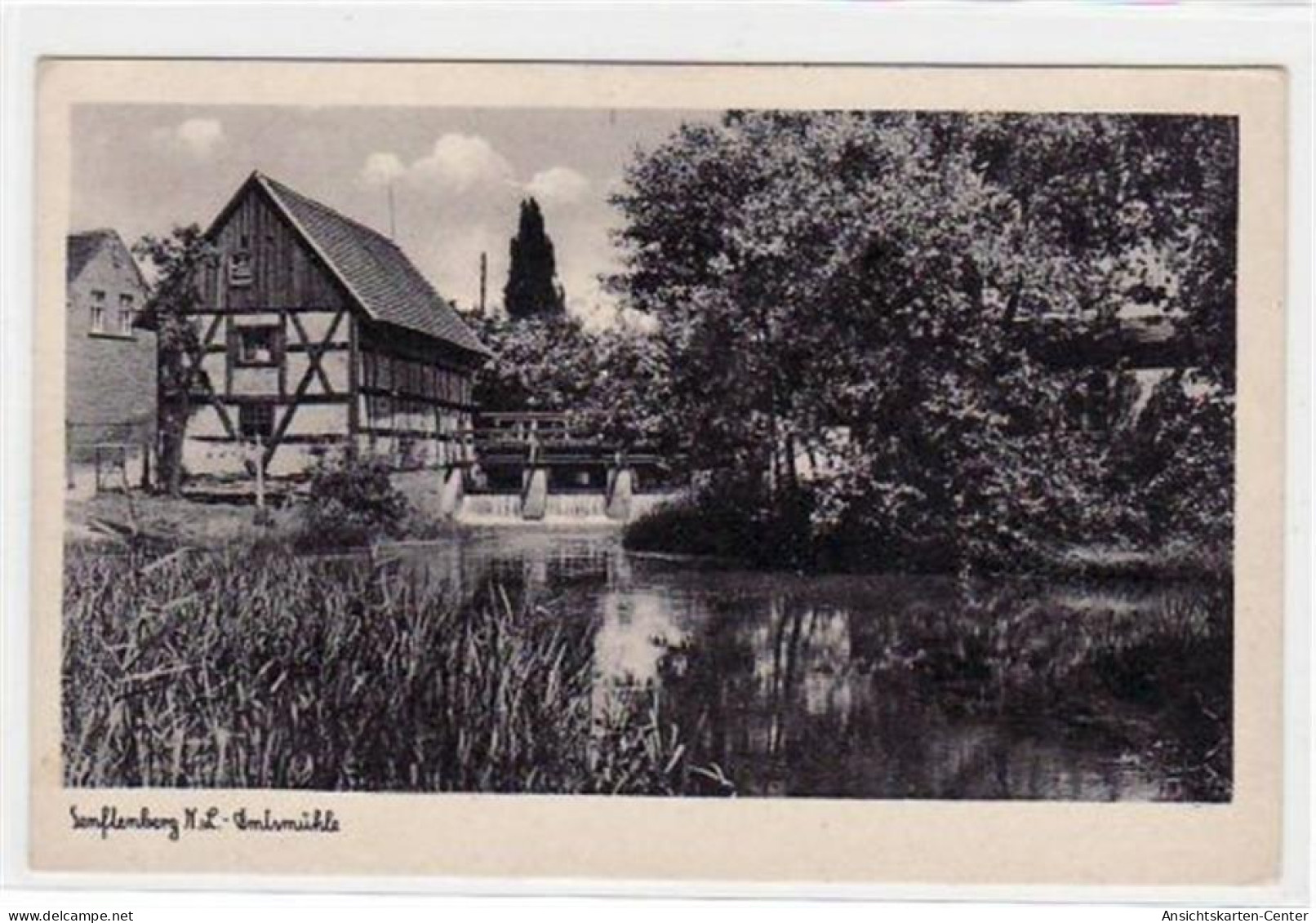 39021586 - Senftenberg mit Amtsmuehle ungelaufen  kleiner Knick unten links, sonst gut erhalten.