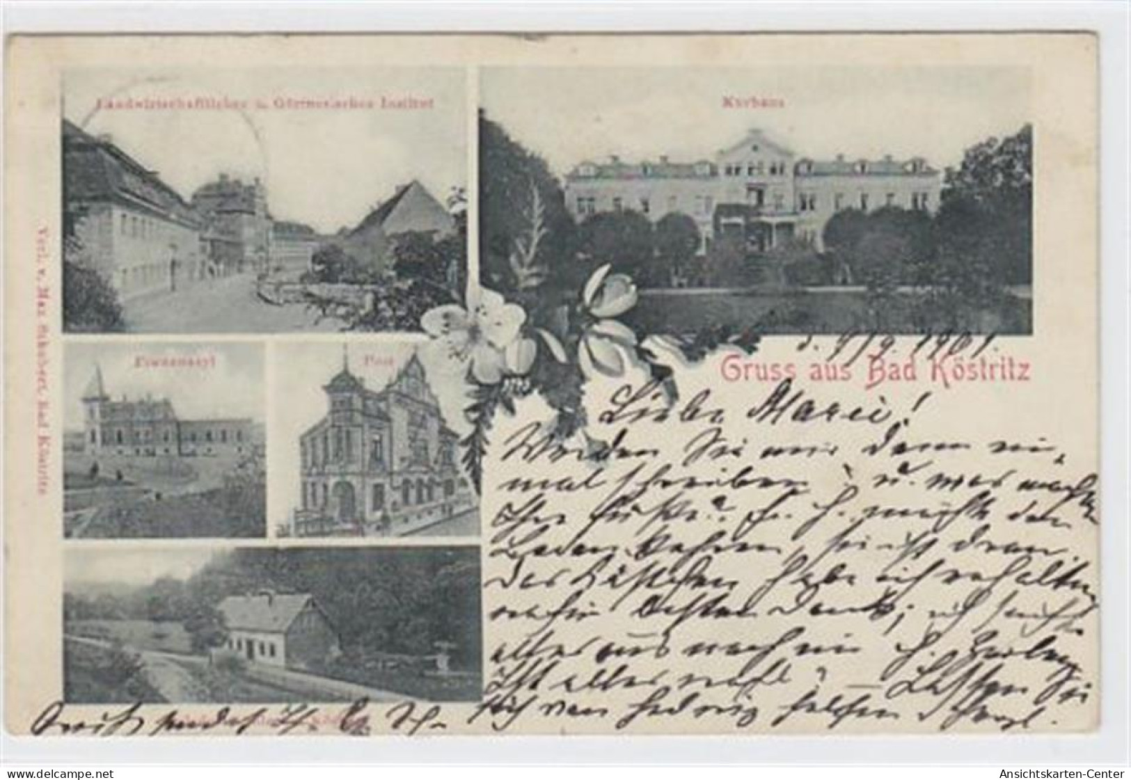 39022538 - Gruss aus Bad Koestritz. Landwirtschaftliche u. Gaertnerische Institut Kurhaus Frauenasyl Post Oelsdorfmuehl