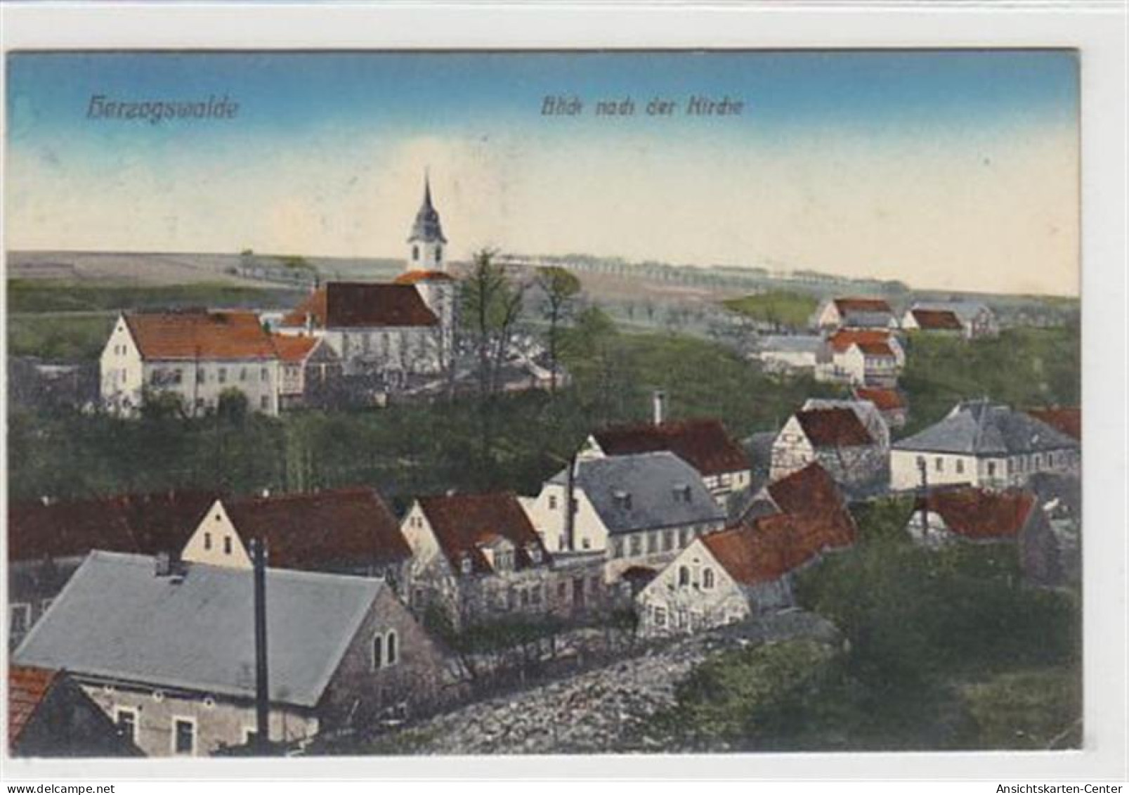 39024690 - Herzogswalde. Blick nach der Kirche gelaufen kleiner Knick unten rechts, sonst gut erhalten.