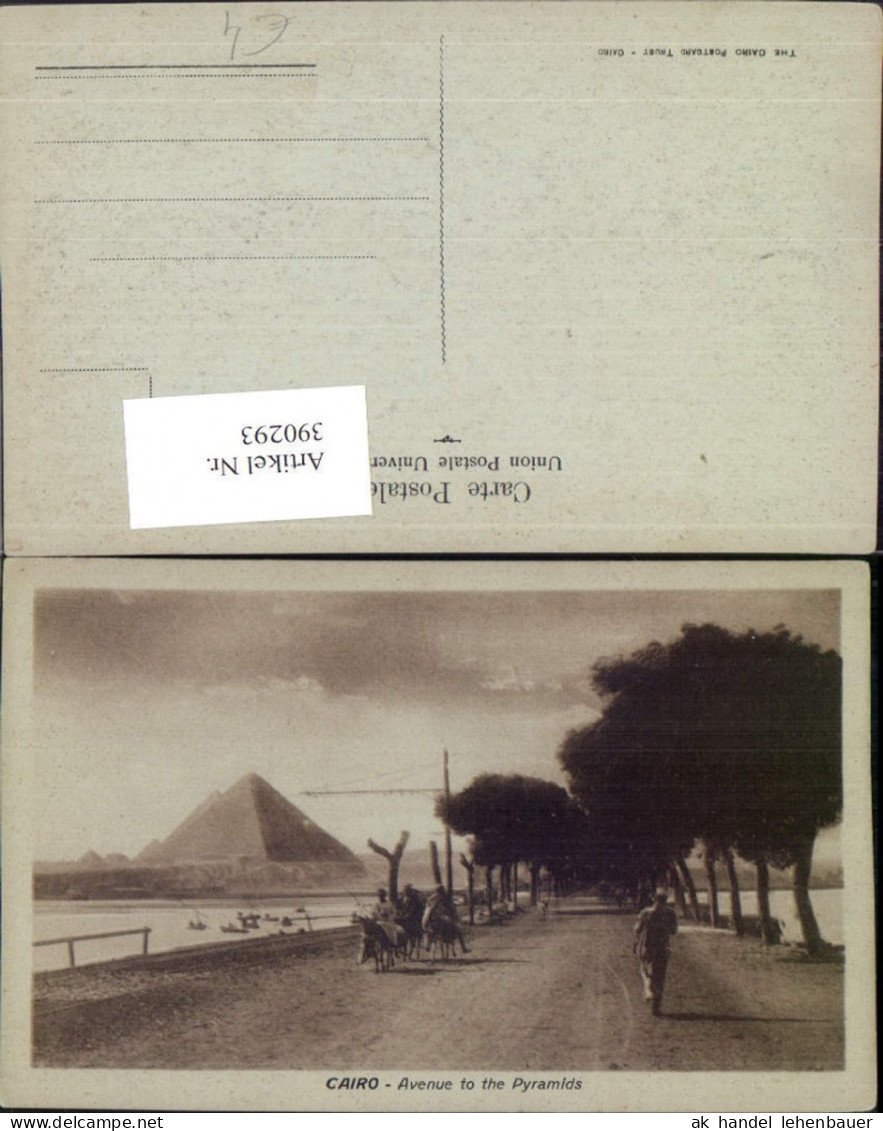 390293,Egypt Cairo Kairo Avenue to the Pyramids Straße Pyramiden