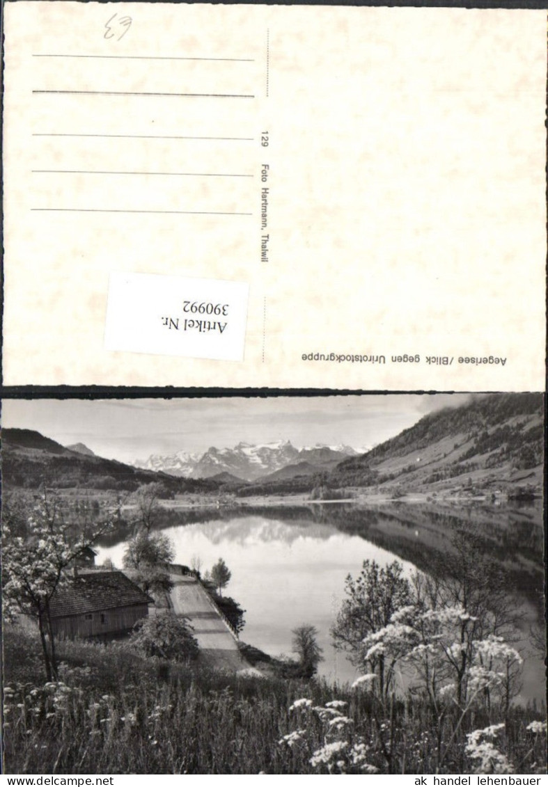 390992,Aegerisee Ägerisee See geg. Urirotstockgruppe Bergkulisse Kt Zug