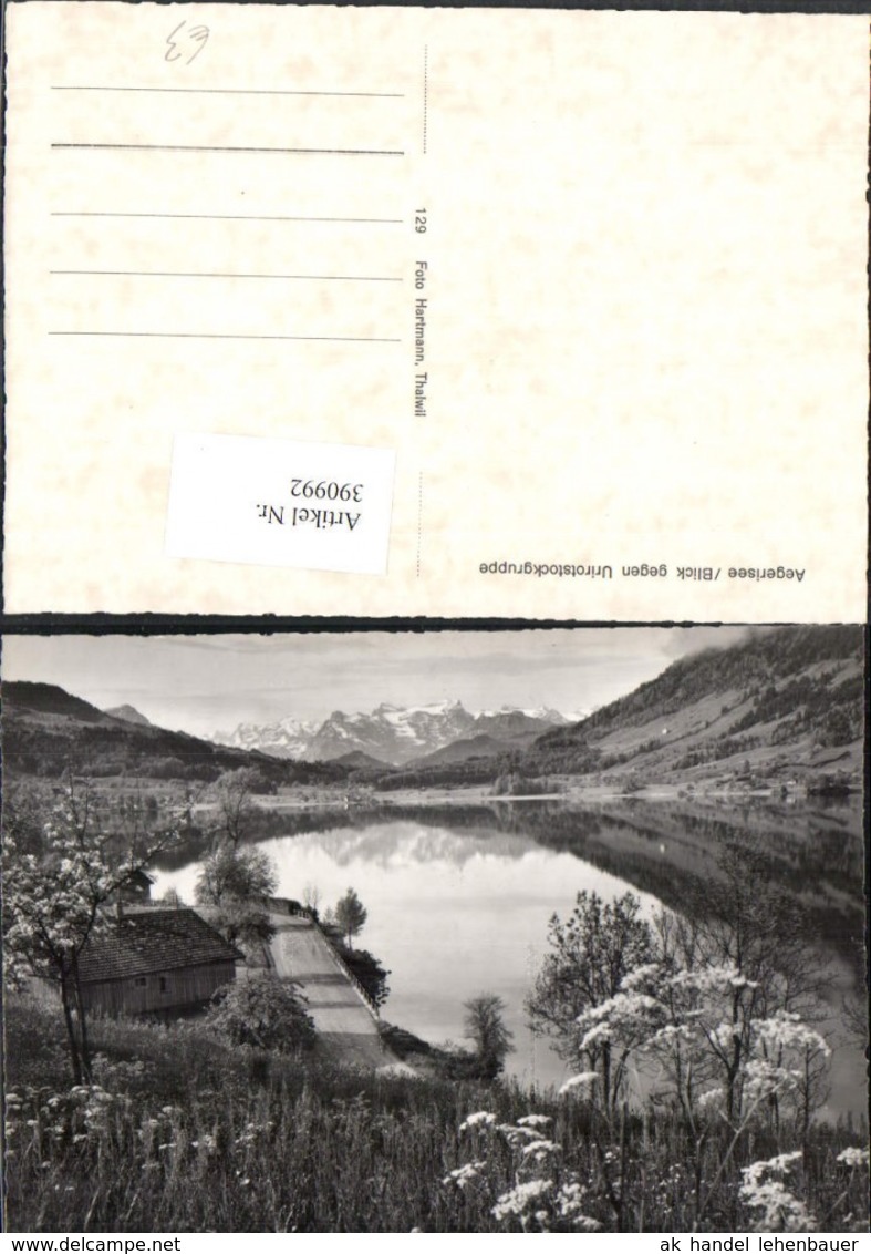 390992,Aegerisee &Auml;gerisee See geg. Urirotstockgruppe Bergkulisse Kt Zug