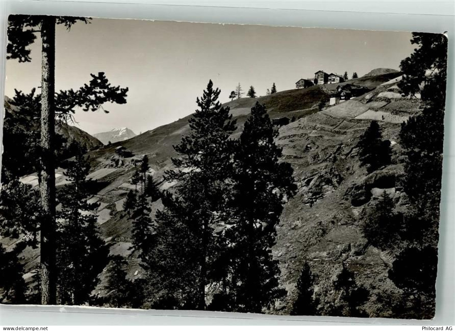 3910 Saas-Grund Foto AK Dählwald - 38191181