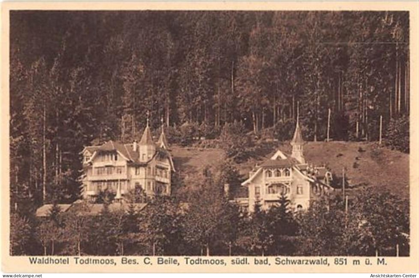 39110632 - Todtmoos. Waldhotel Todtmoos. Karte beschrieben Gute Erhaltung.