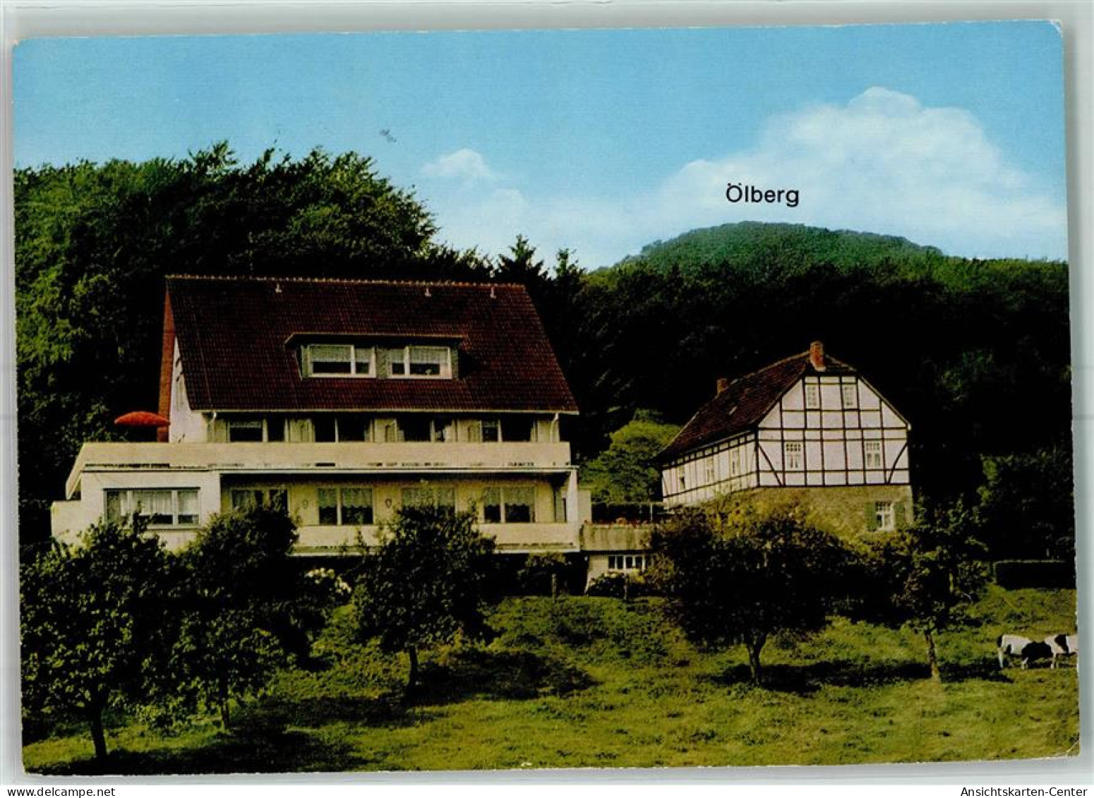 39132536 - Koenigswinter