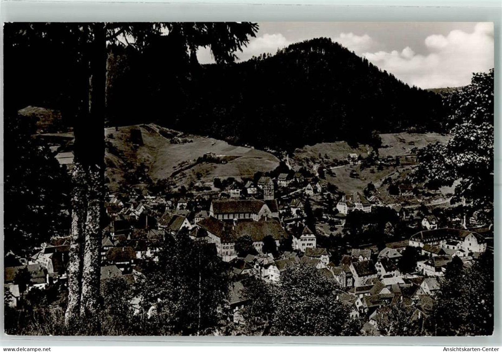 39133425 - Alpirsbach