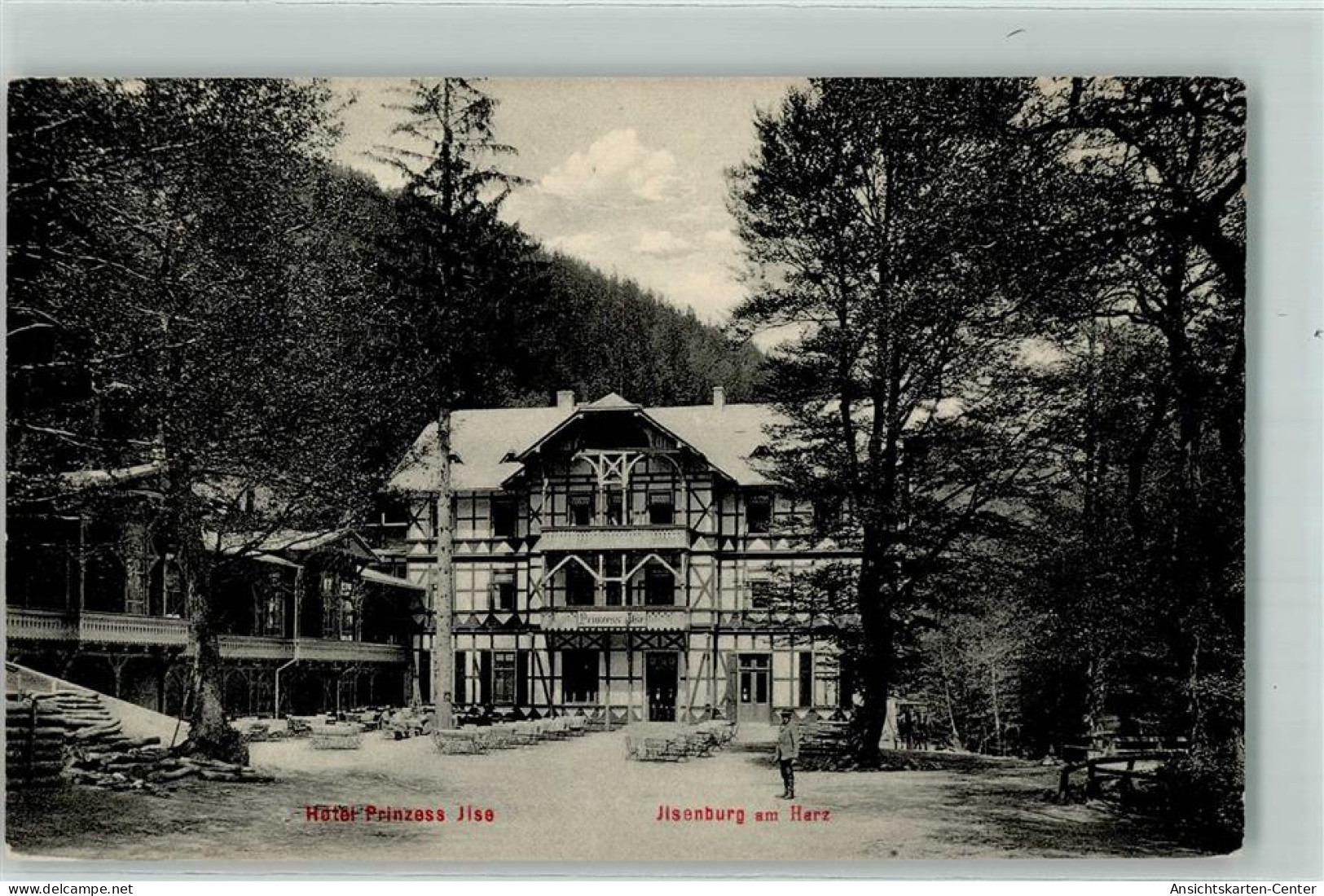 39142869 - Ilsenburg