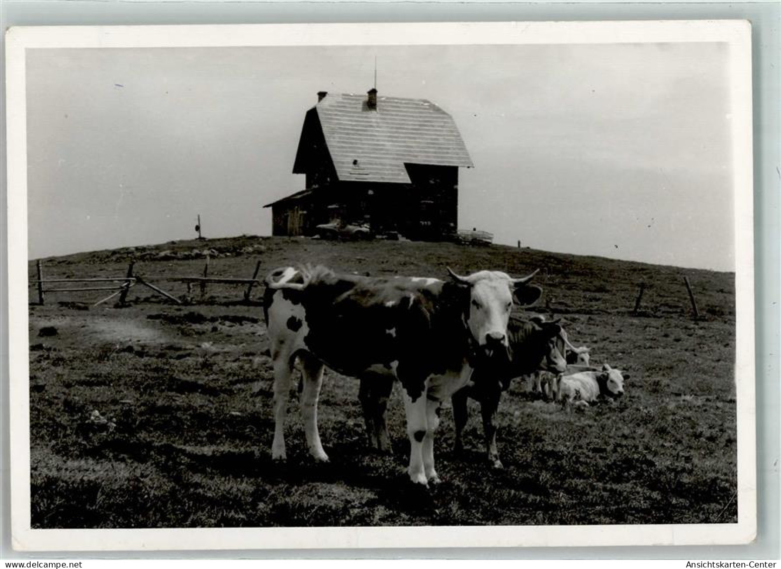 39153104 - Wolfsberg