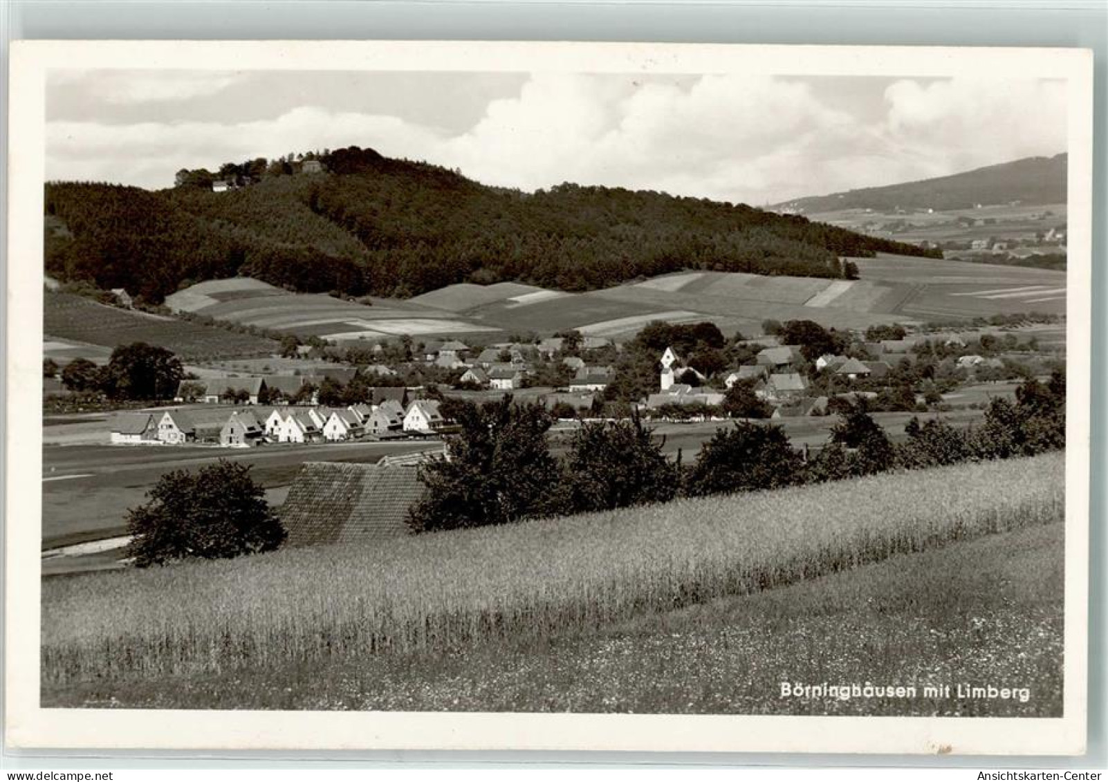 39215336 - Boerninghausen