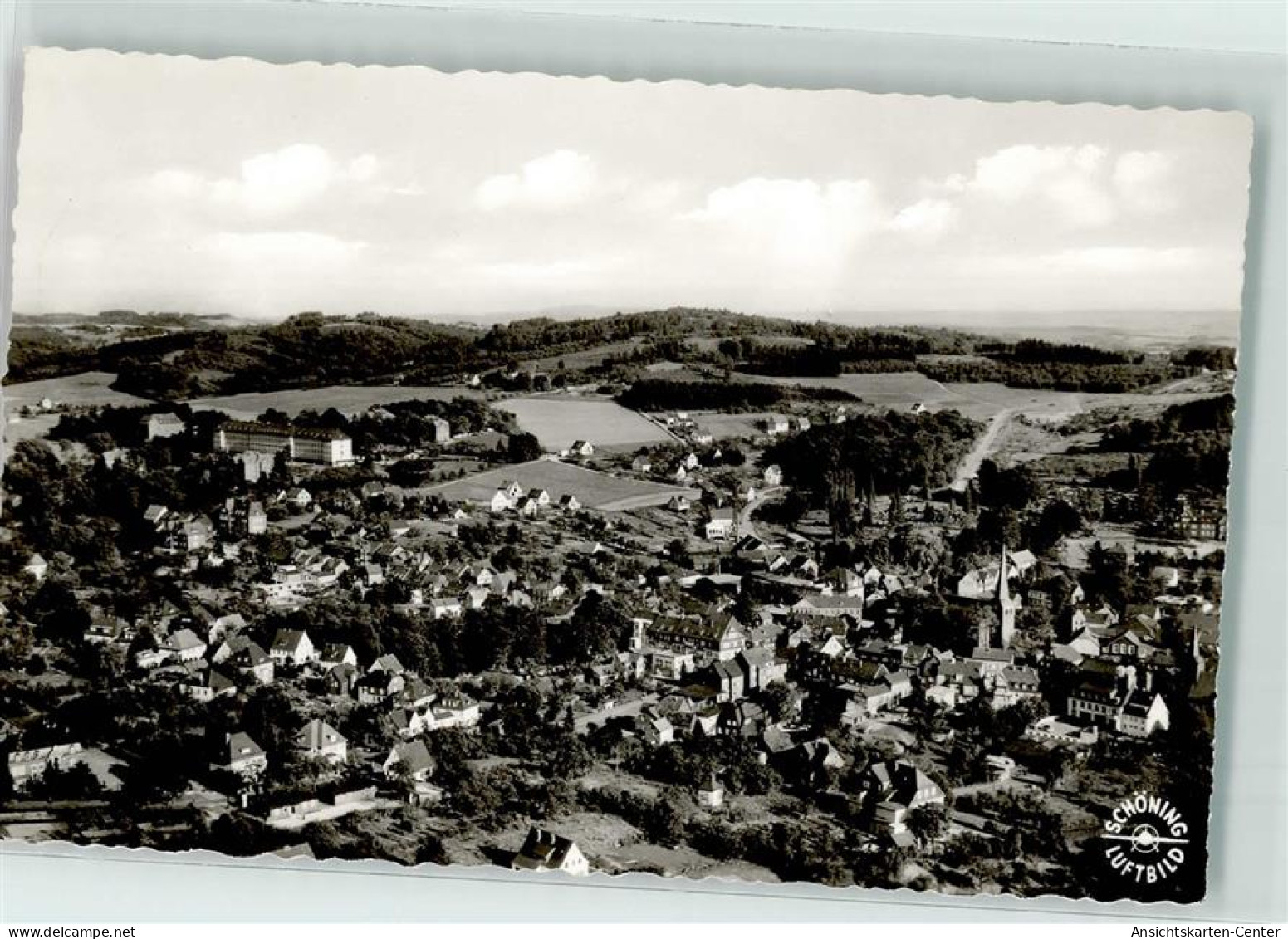 39215538 - Waldbroel