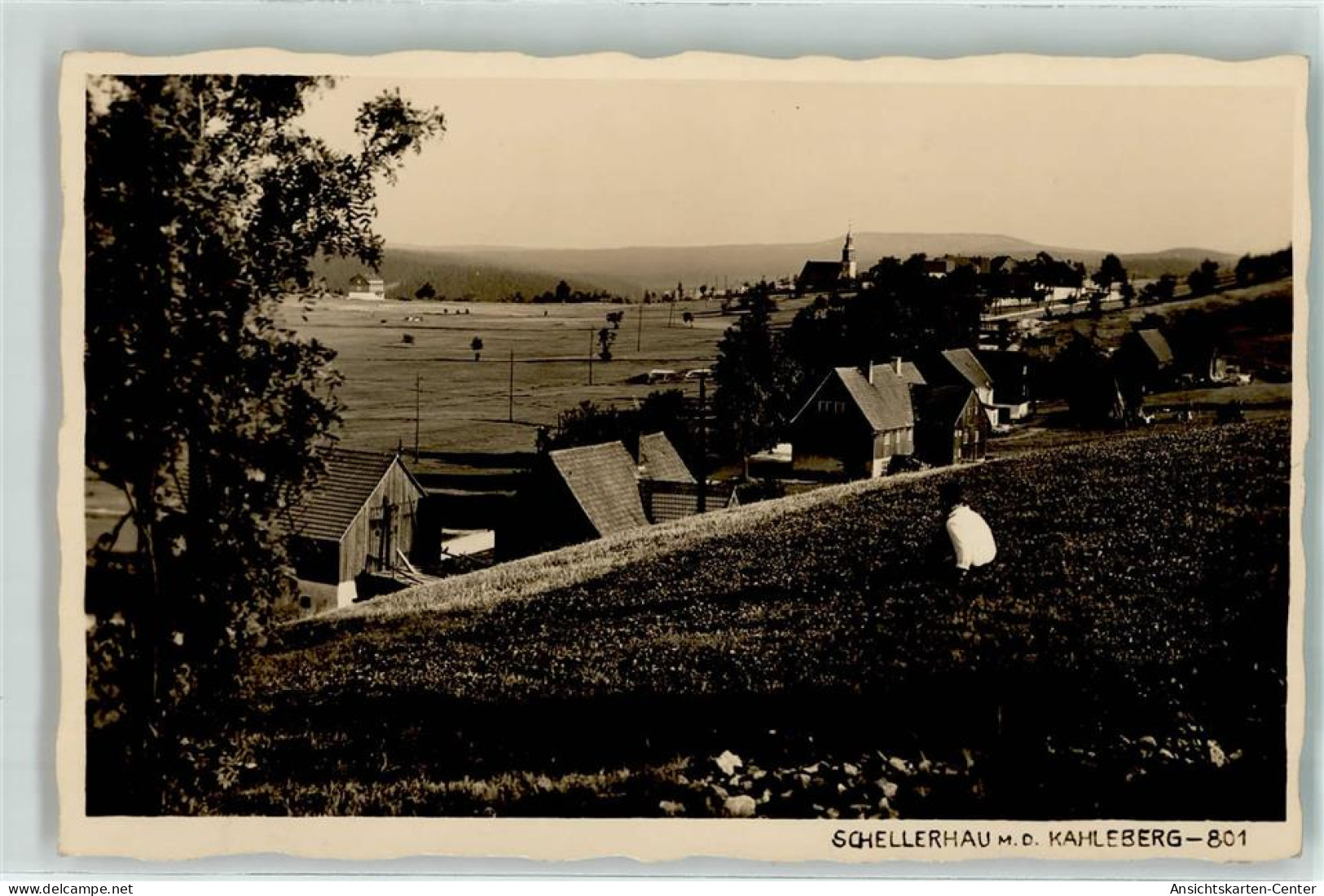 39216551 - Schellerhau