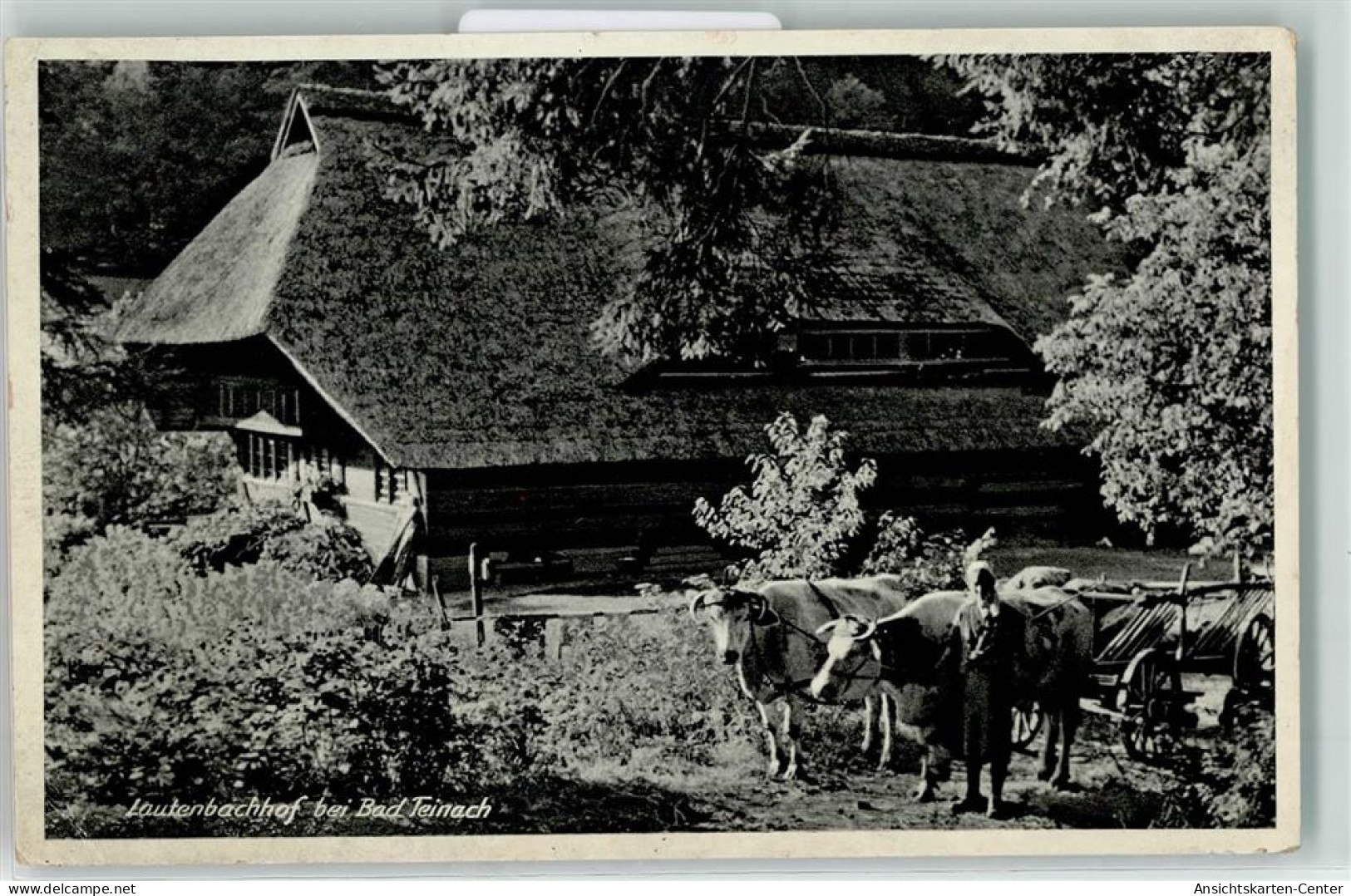 39216957 - Bad Teinach