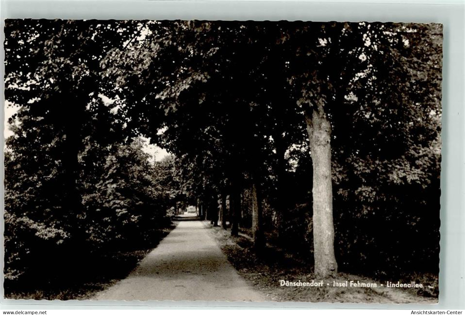 39219303 - Daenschendorf auf Fehmarn