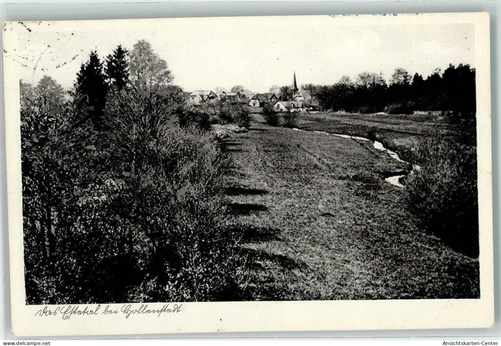 39219537 - Hollenstedt , Leinetal