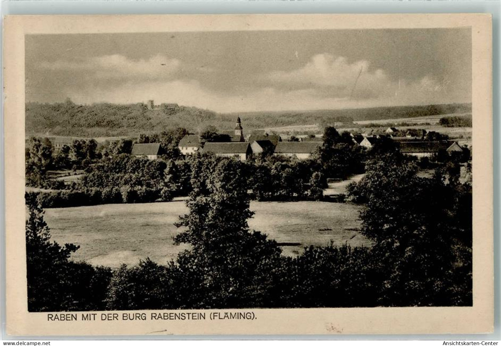 39223834 - Raben b Niemegk