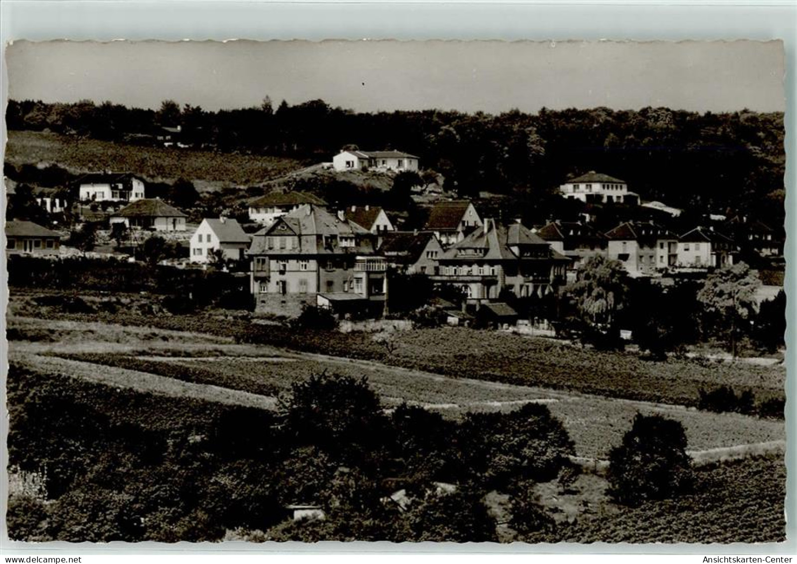 39225897 - Gruenstadt