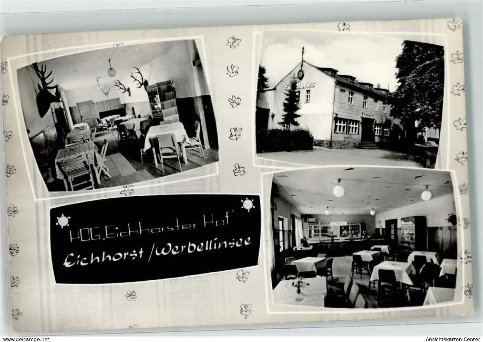 39226929 - Eichhorst b Eberswalde