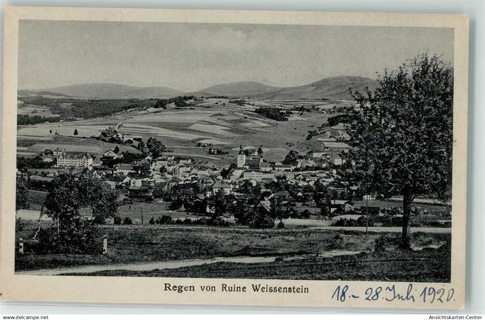 39228142 - Regen