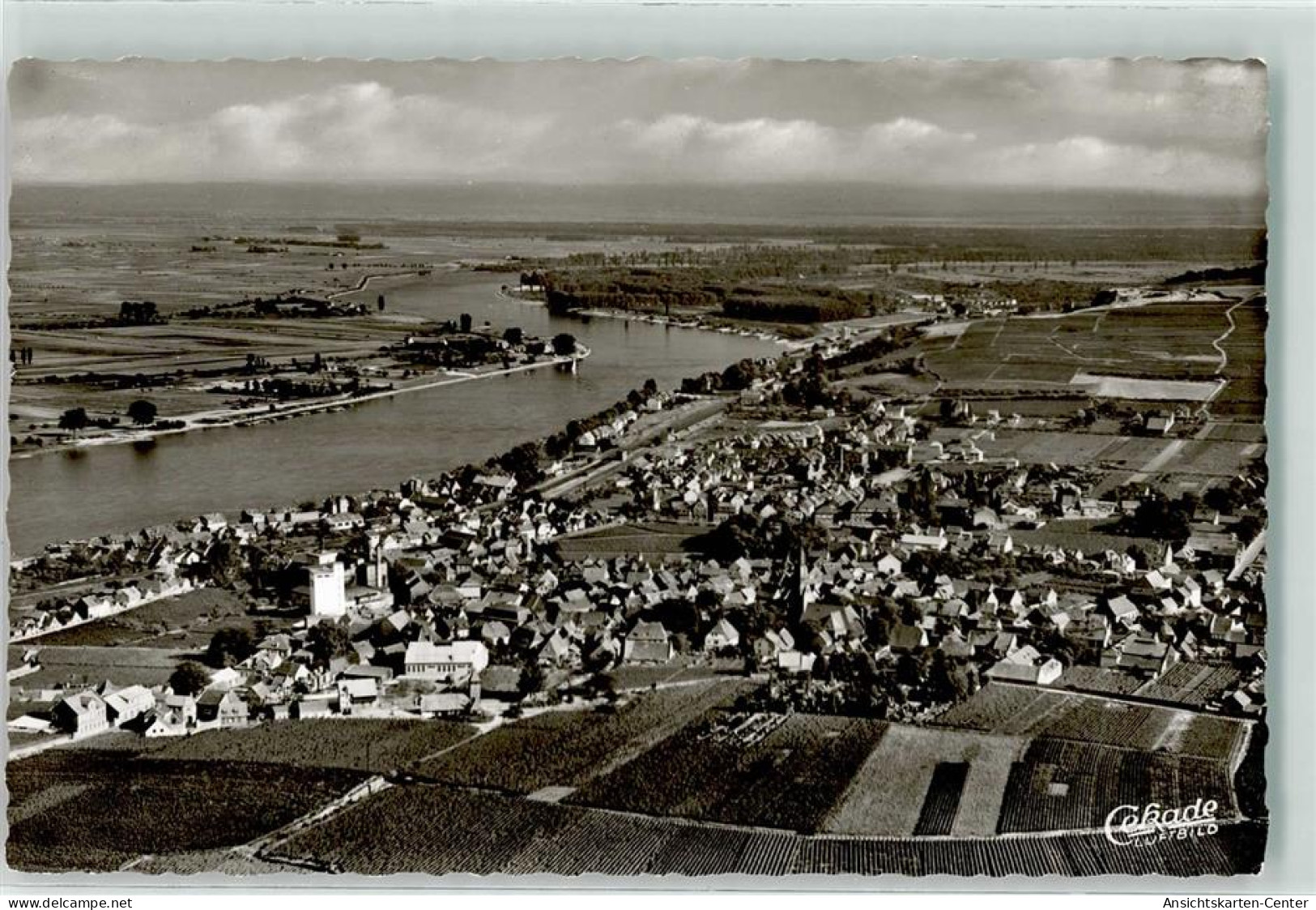 39231354 - Nierstein