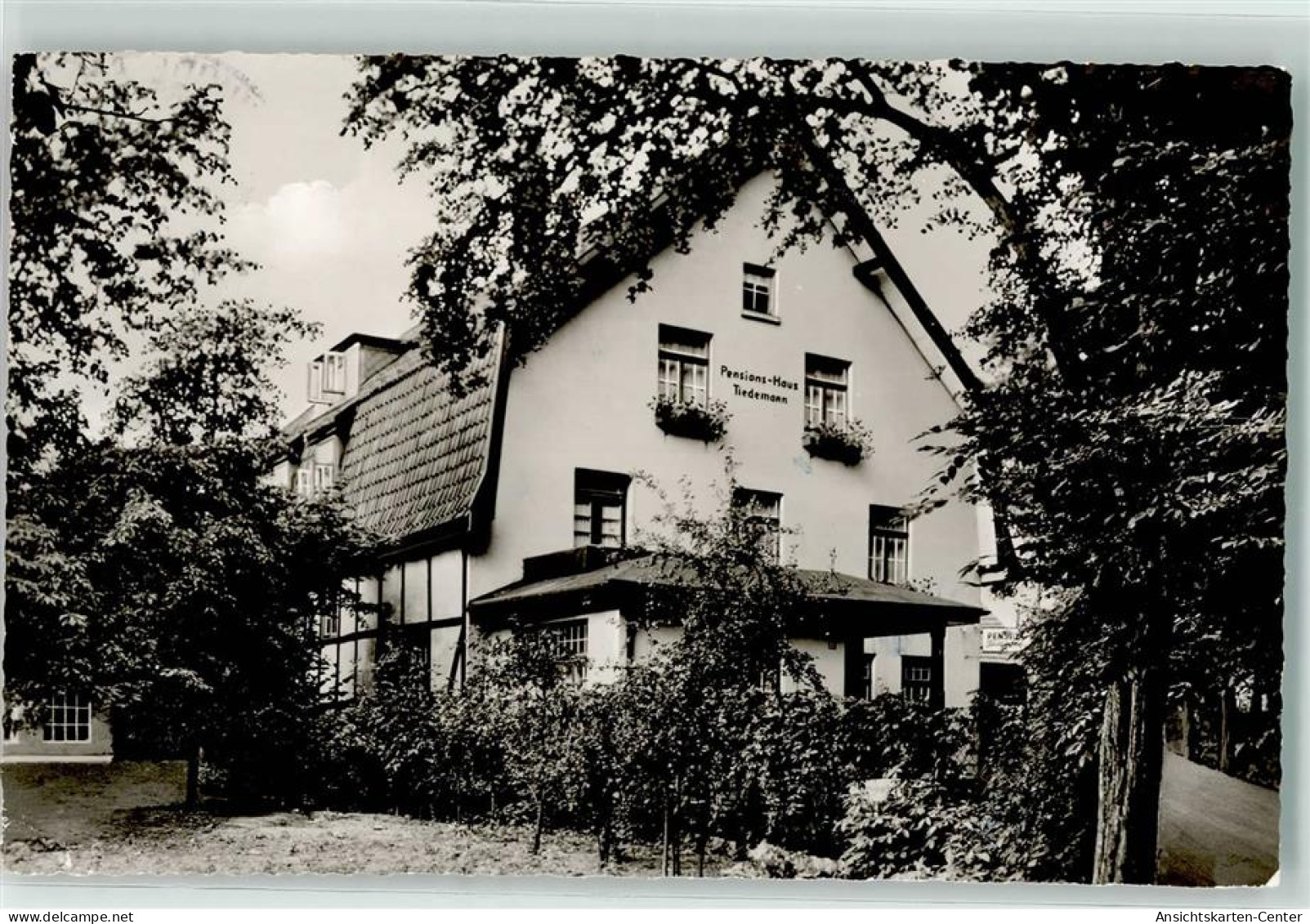 39234270 - Steinhude