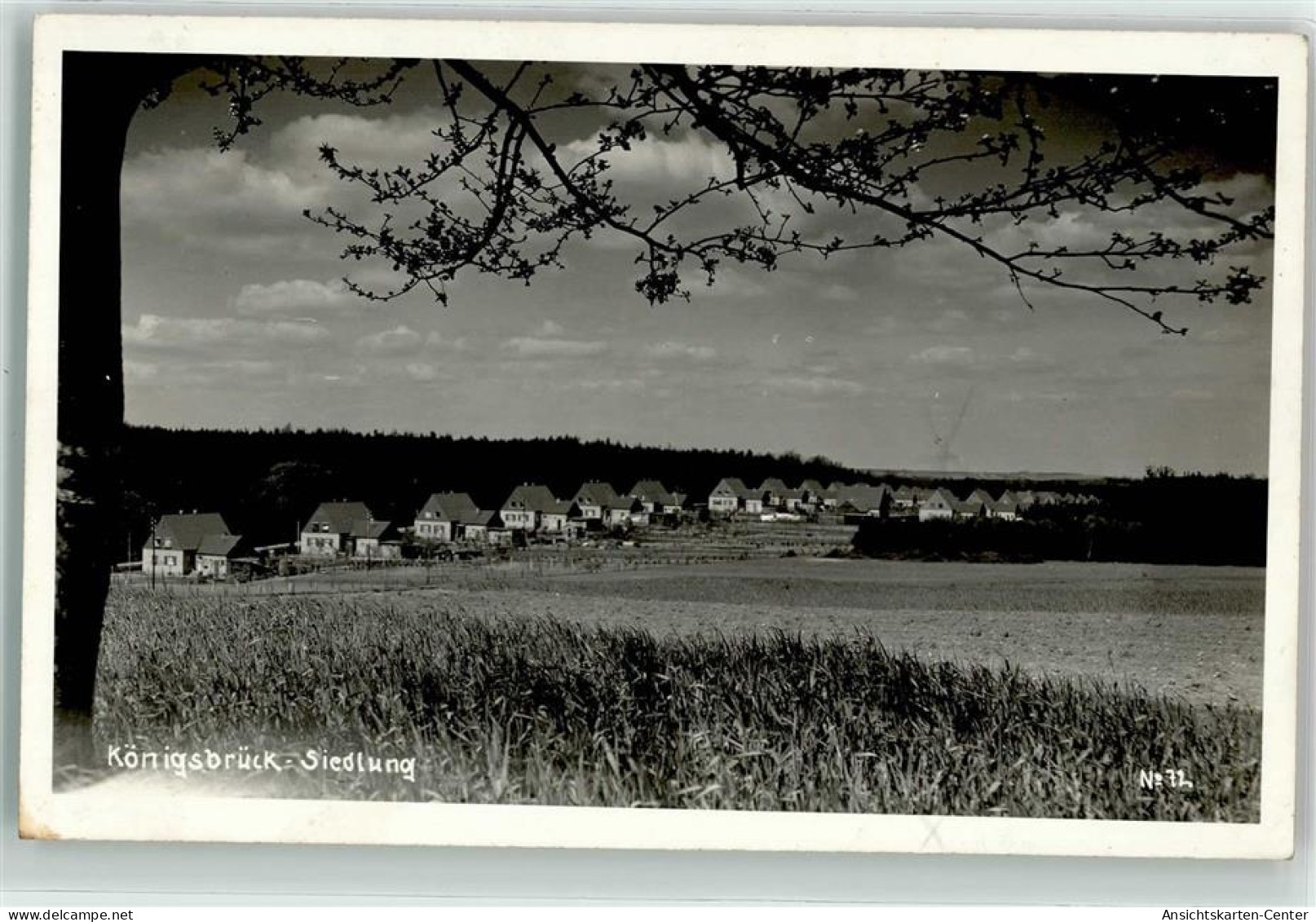 39234407 - Koenigsbrueck