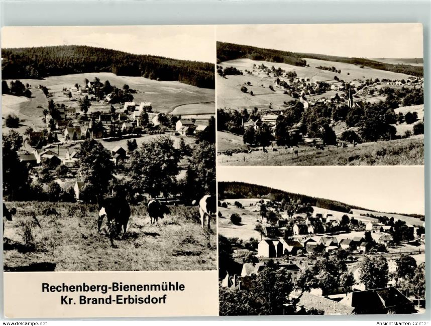 39235421 - Rechenberg-Bienenmuehle