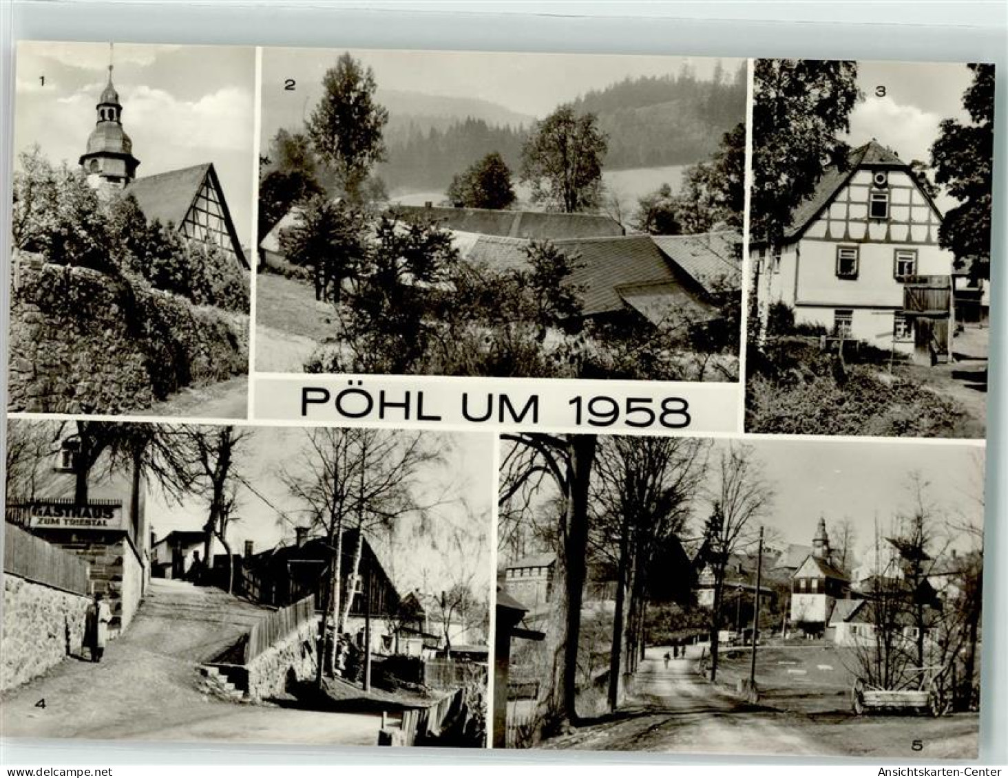 39238969 - Poehl im Vogtland