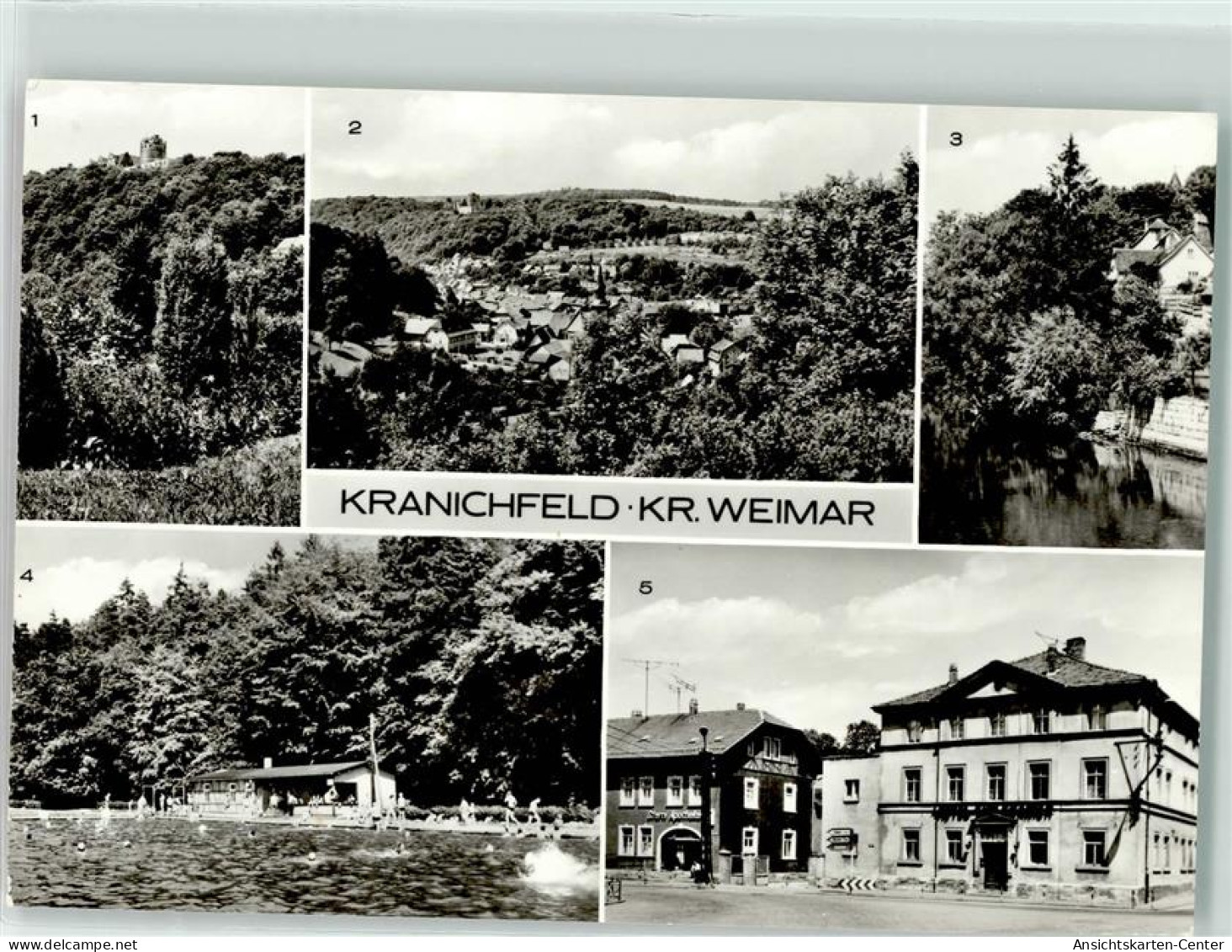 39239136 - Kranichfeld