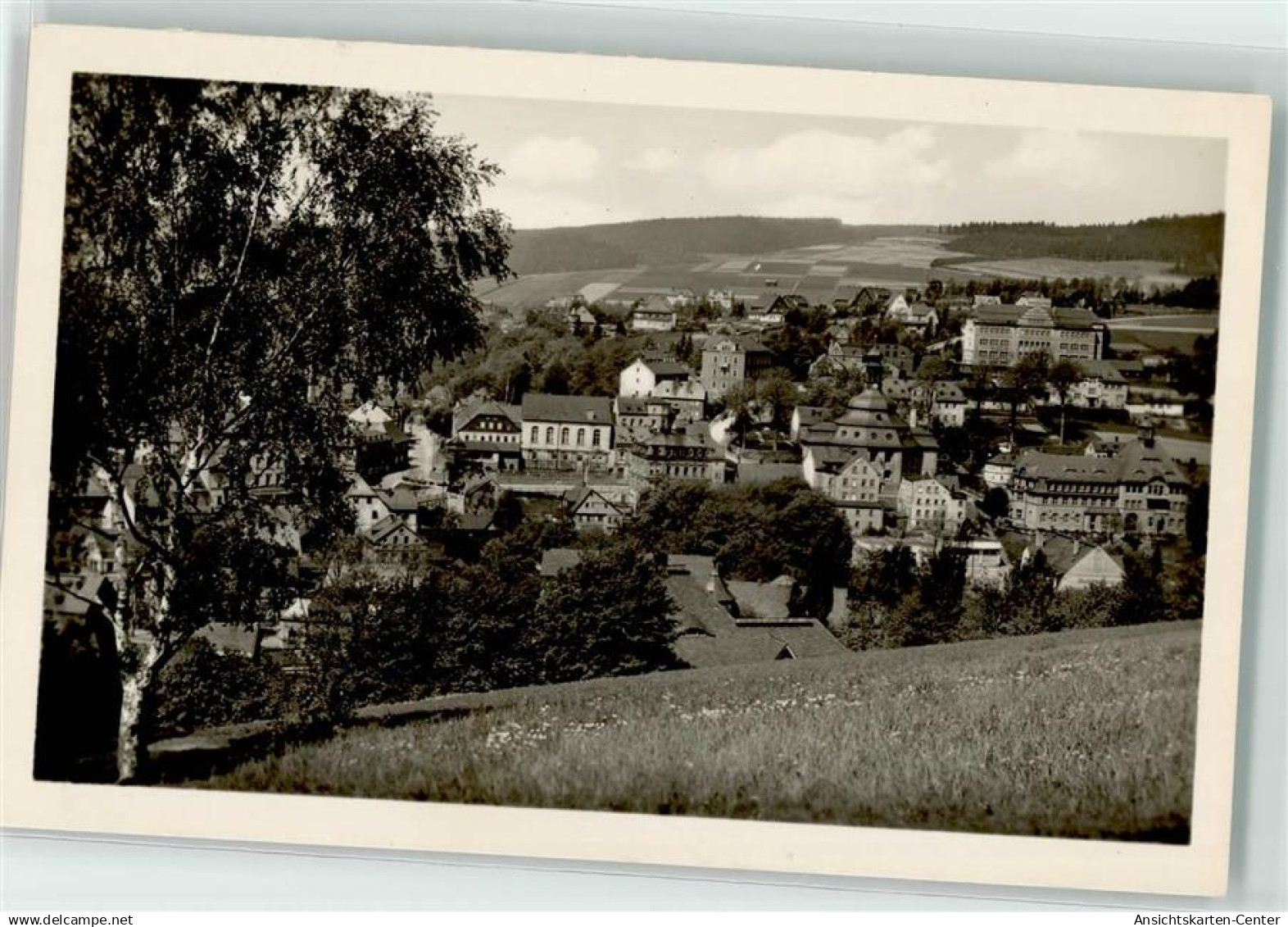 39241054 - Klingenthal