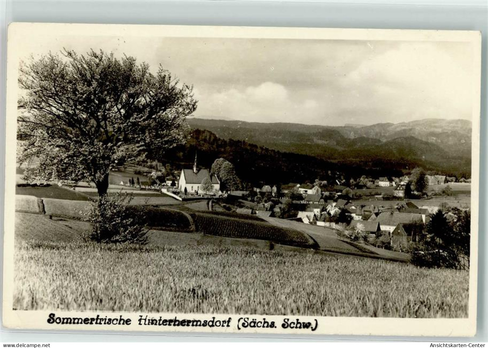 39242280 - Hinterhermsdorf