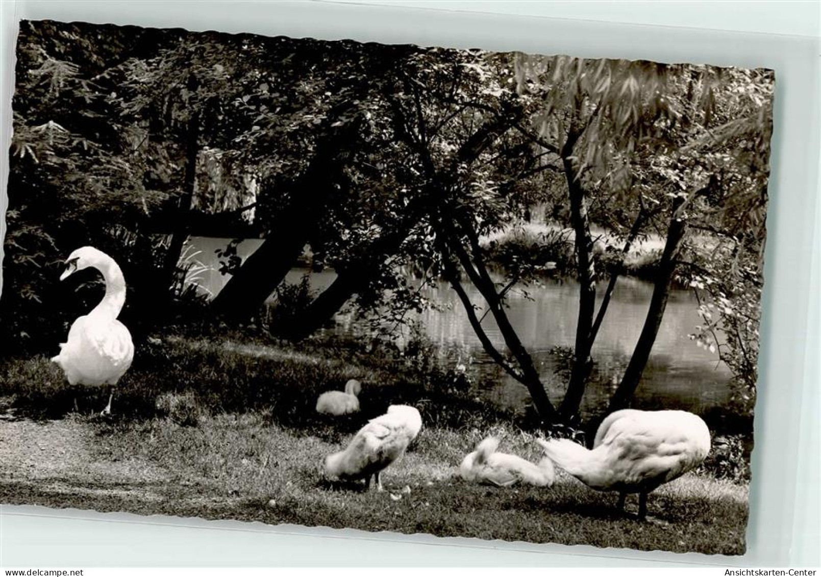 39246092 - Aschaffenburg