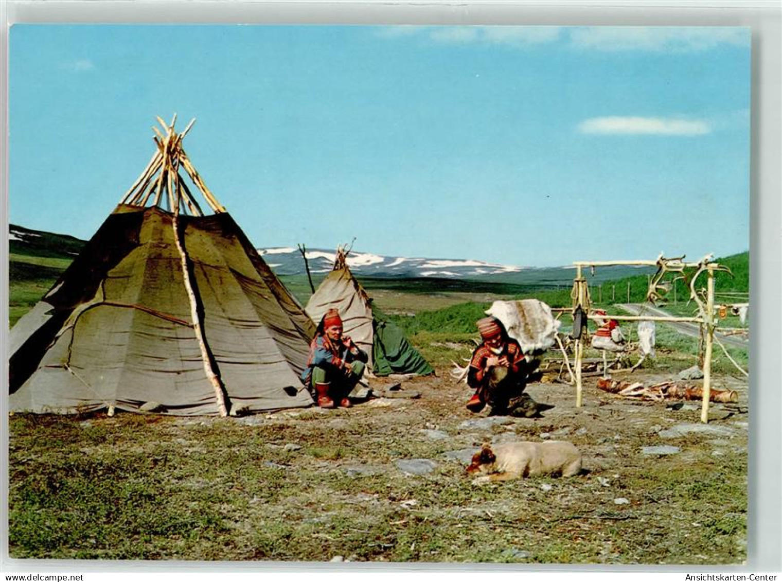 39249425 - Samer Tracht Hund Lavvo Zelt